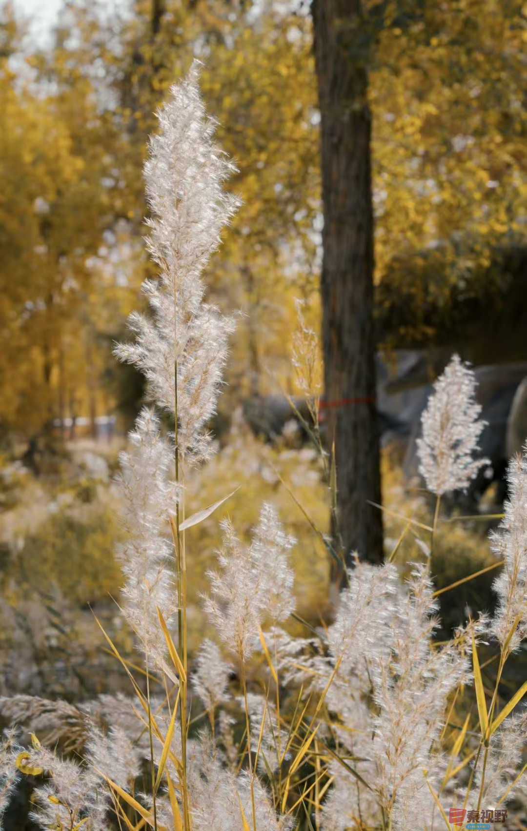 法制大队_2025-11-09_232430_069 (9).jpg