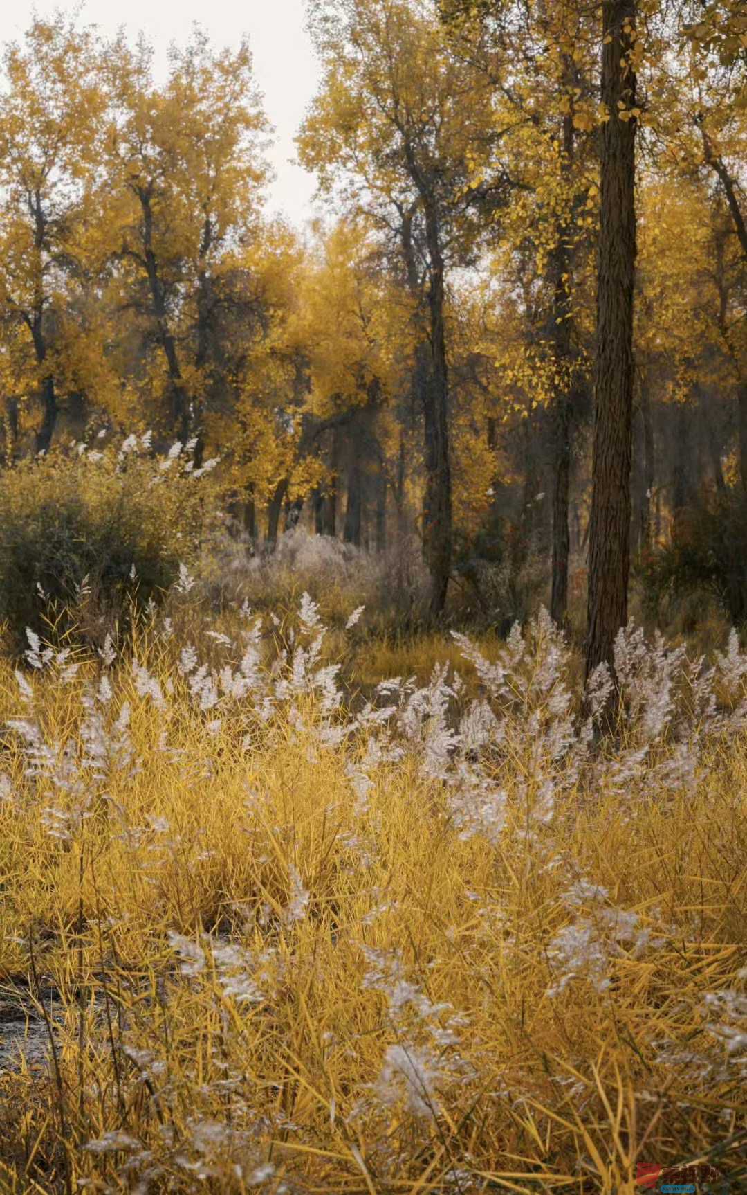 法制大队_2025-11-09_232430_069 (8).jpg