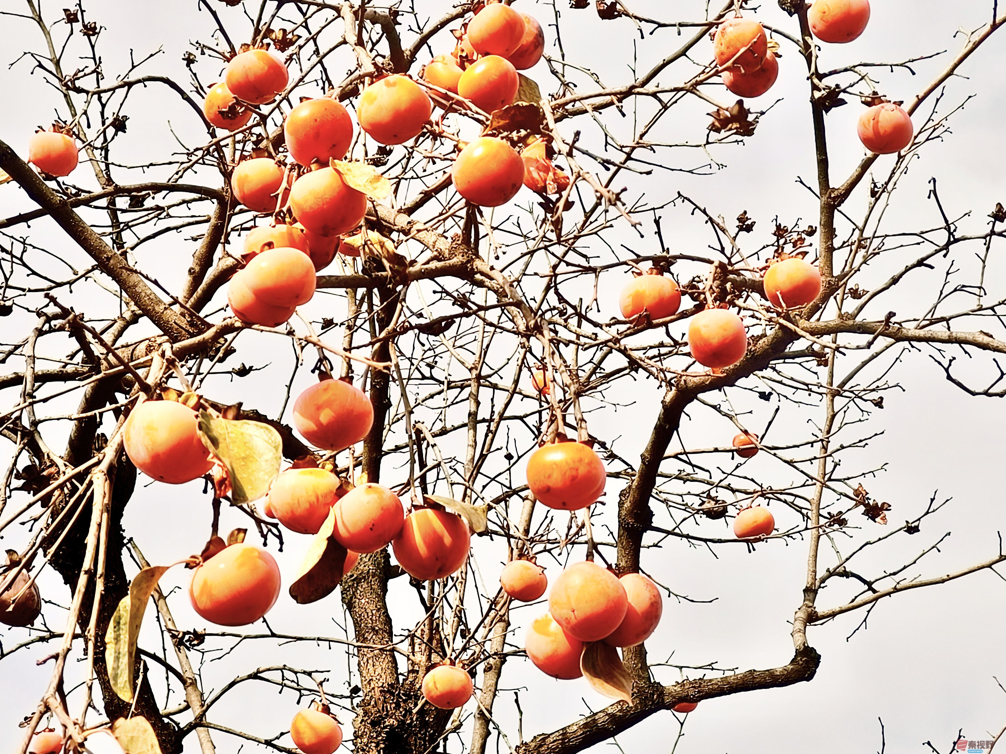 任周民_20251111094310_212_1580 (2).jpg