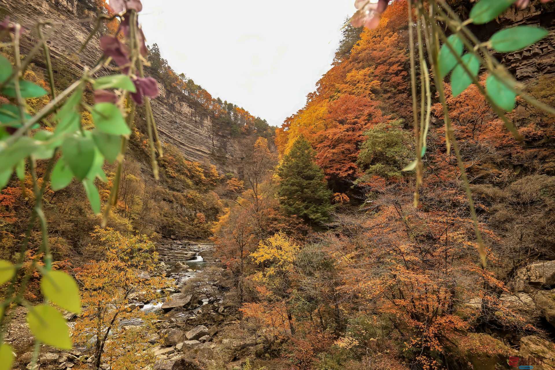 陈耀杰_20251110175853_3113_463 (6).jpg