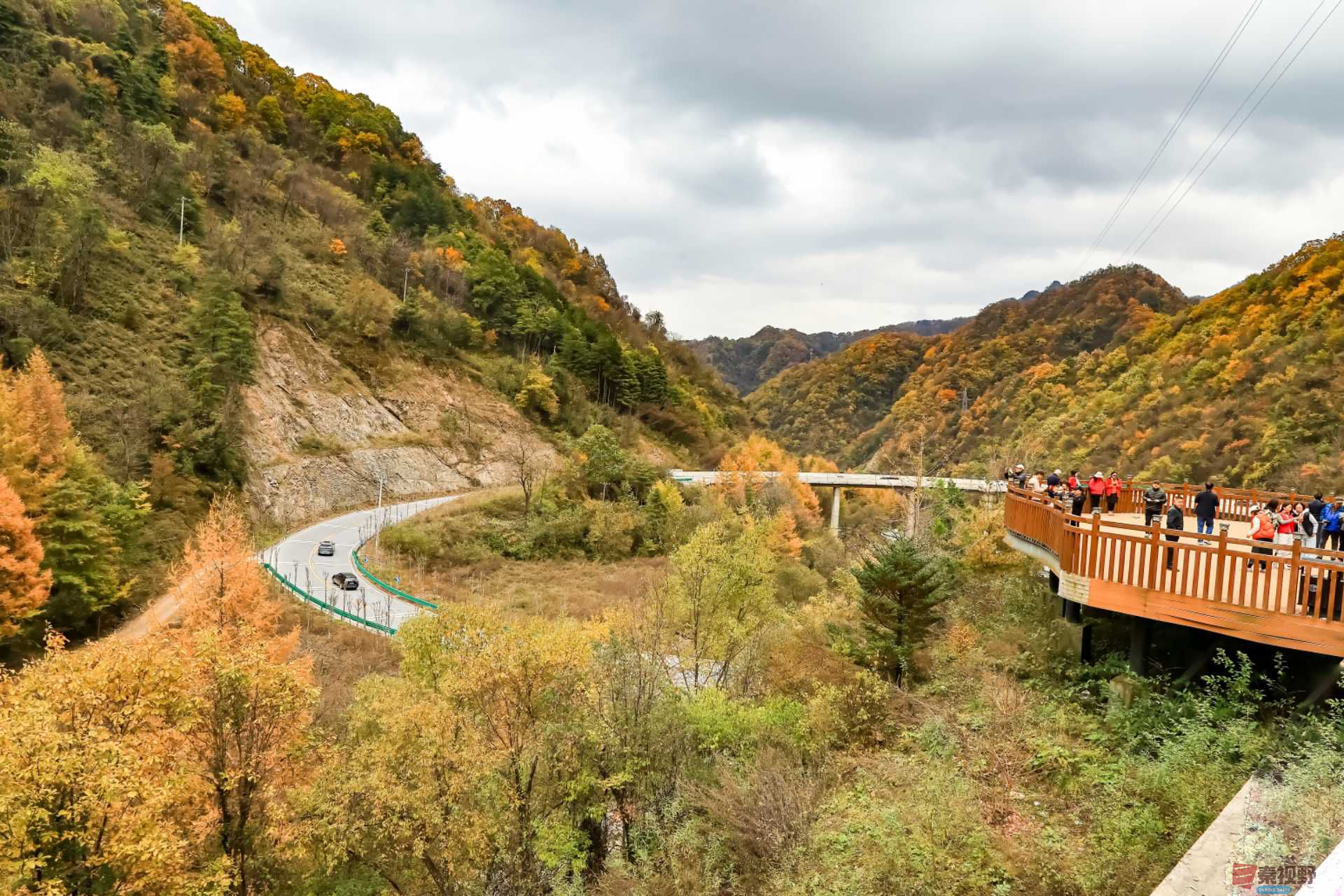 陈耀杰_20251110175853_3113_463 (3).jpg