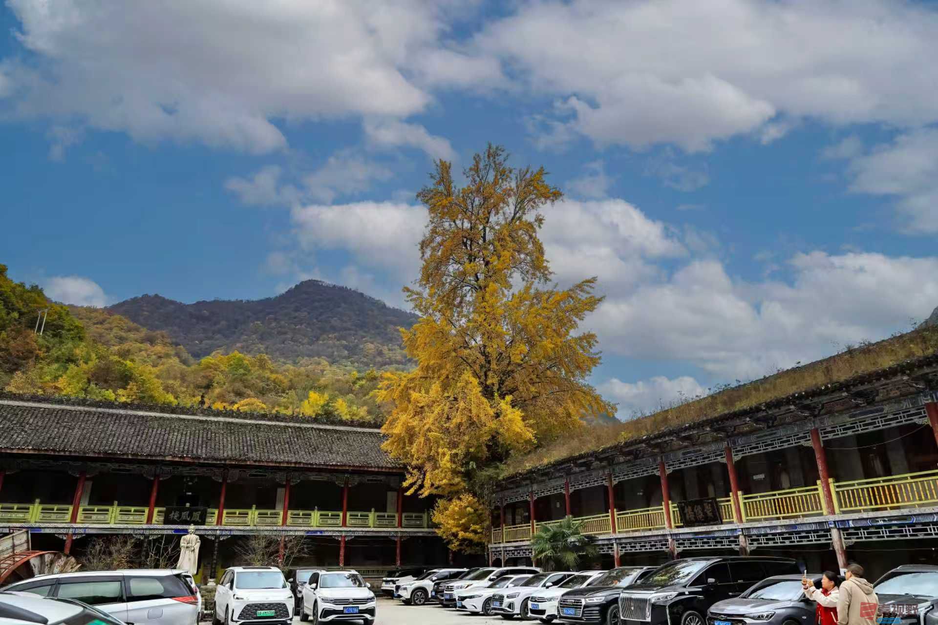 陈耀杰_20251110175853_3113_463 (2).jpg