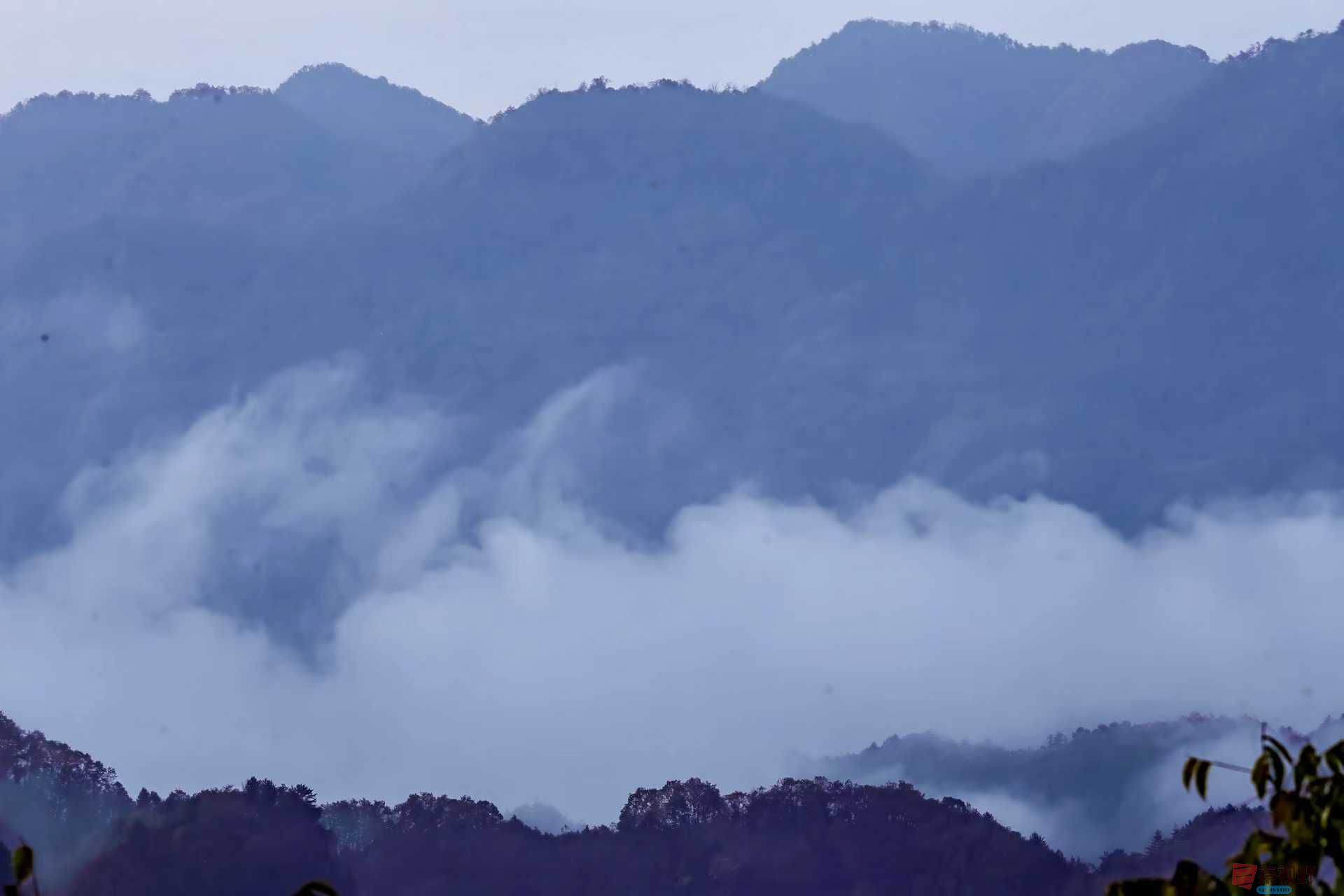 陈耀杰_20251110175853_3113_463 (4).jpg