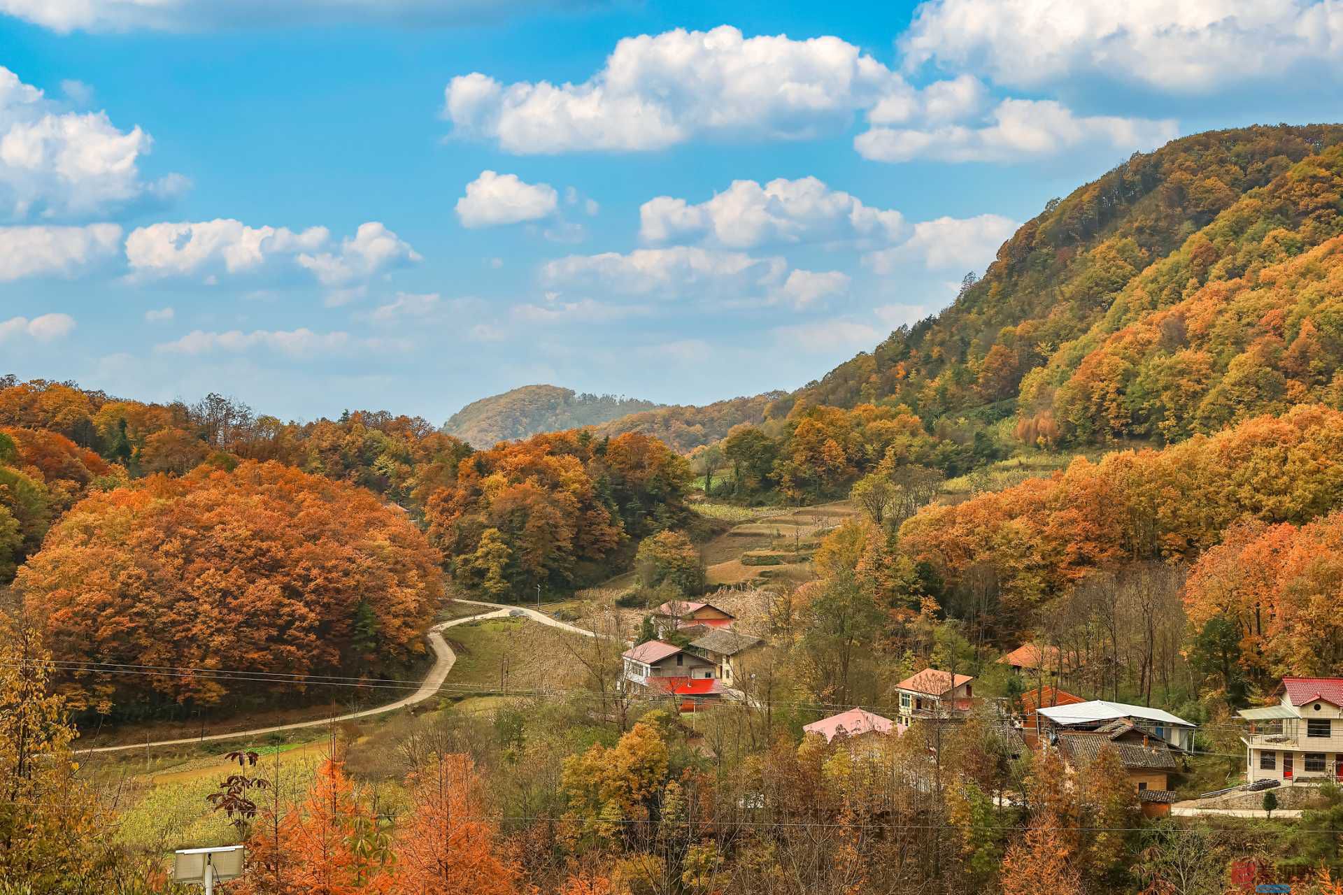 陈耀杰_20251110175853_3113_463 (10).jpg