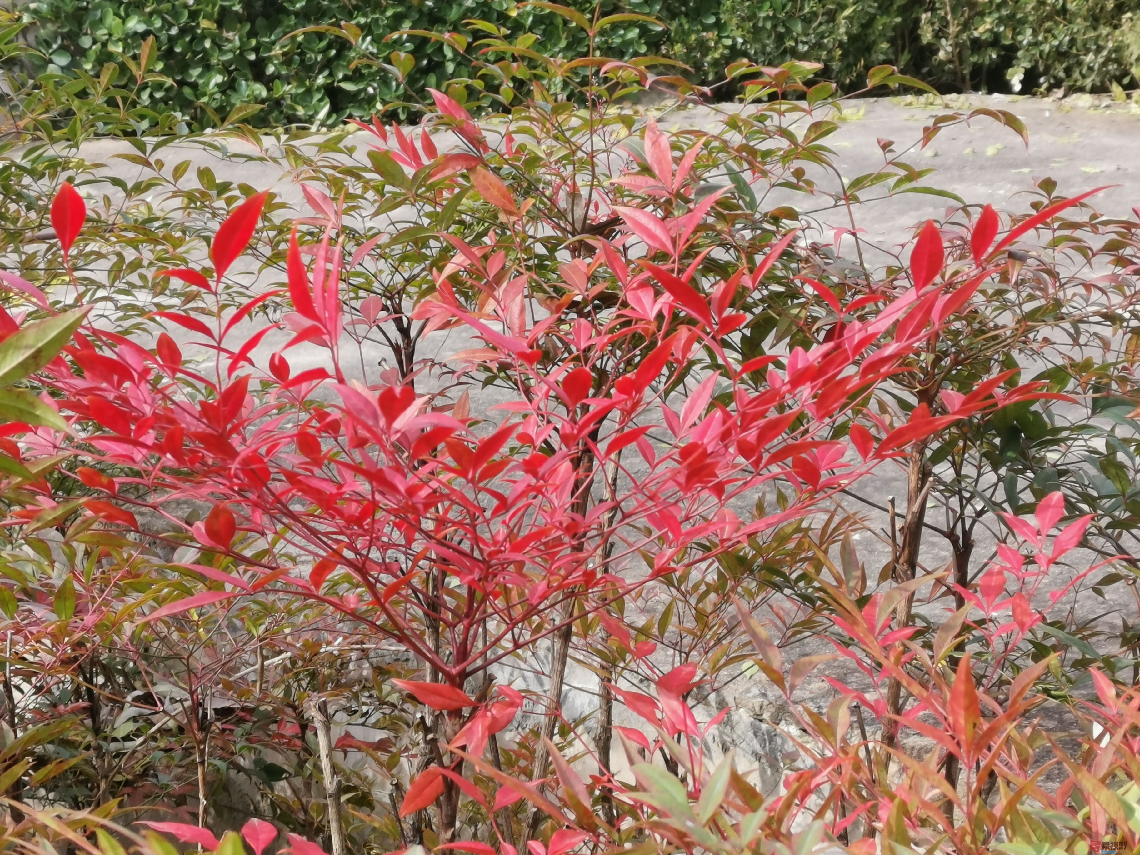 李维杰_20251112134245_1_482 (3).jpg