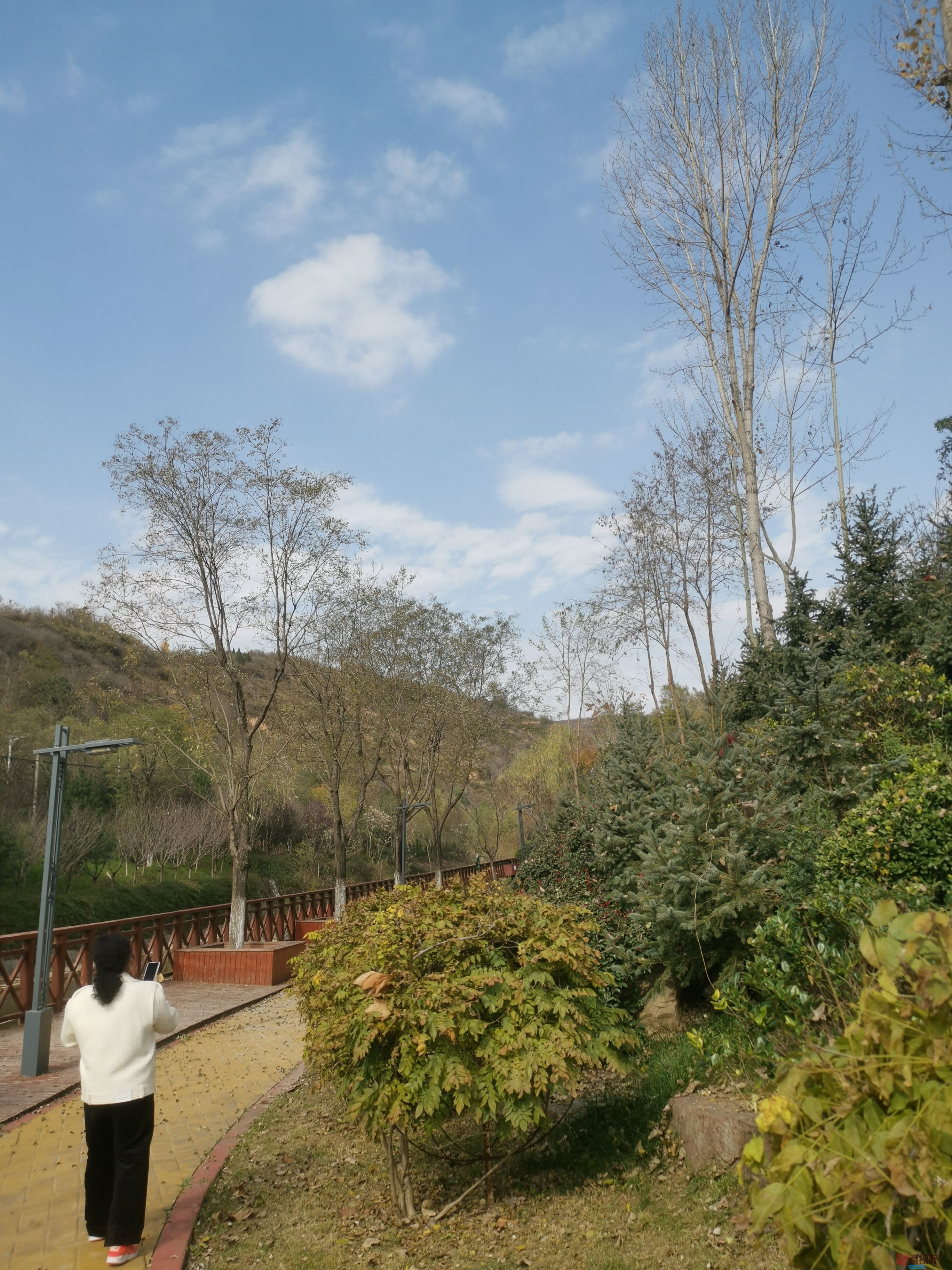 李维杰_20251112134245_1_482 (5).jpg