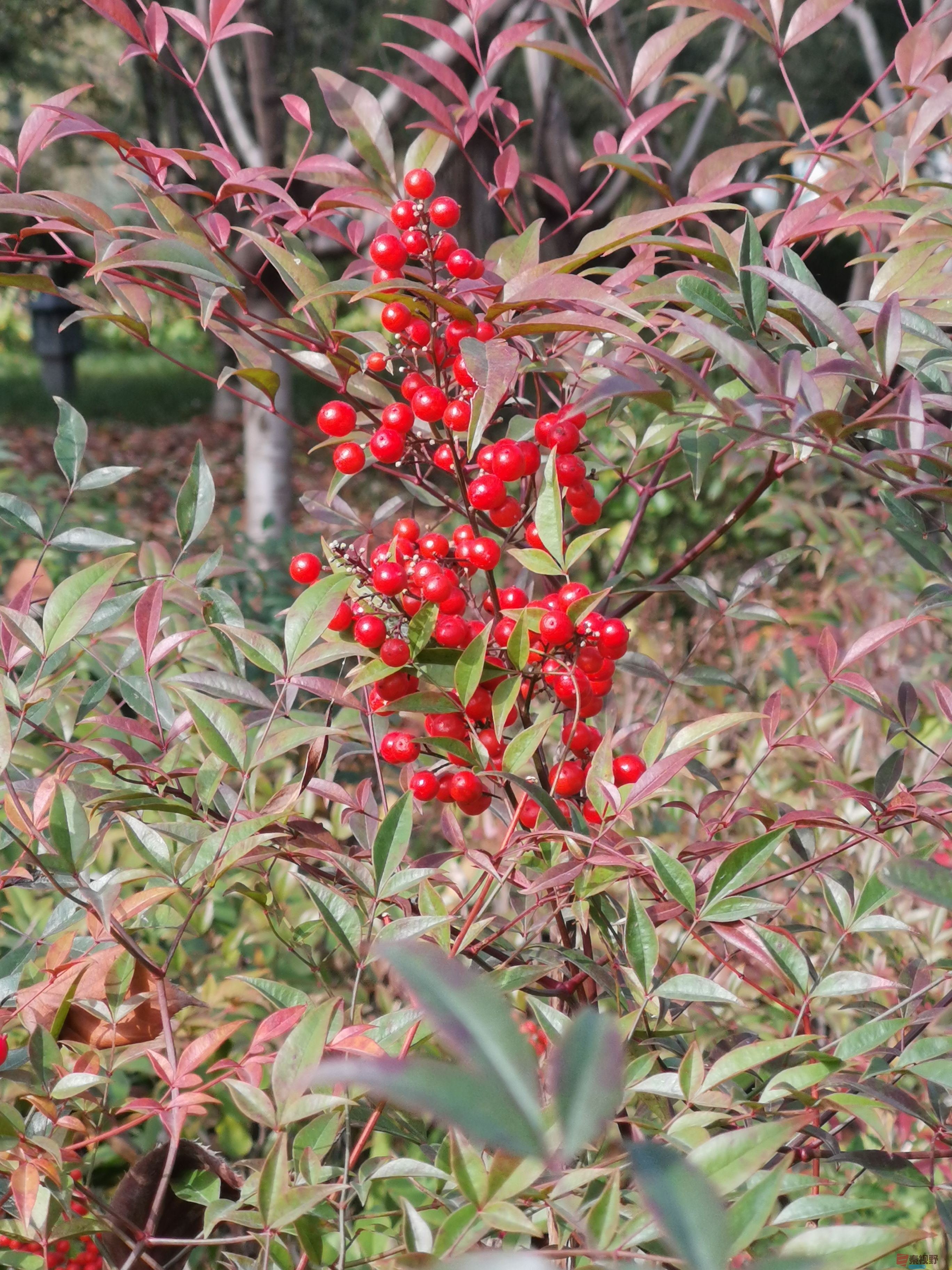铜川王家河水上乐园【摄影李维杰】