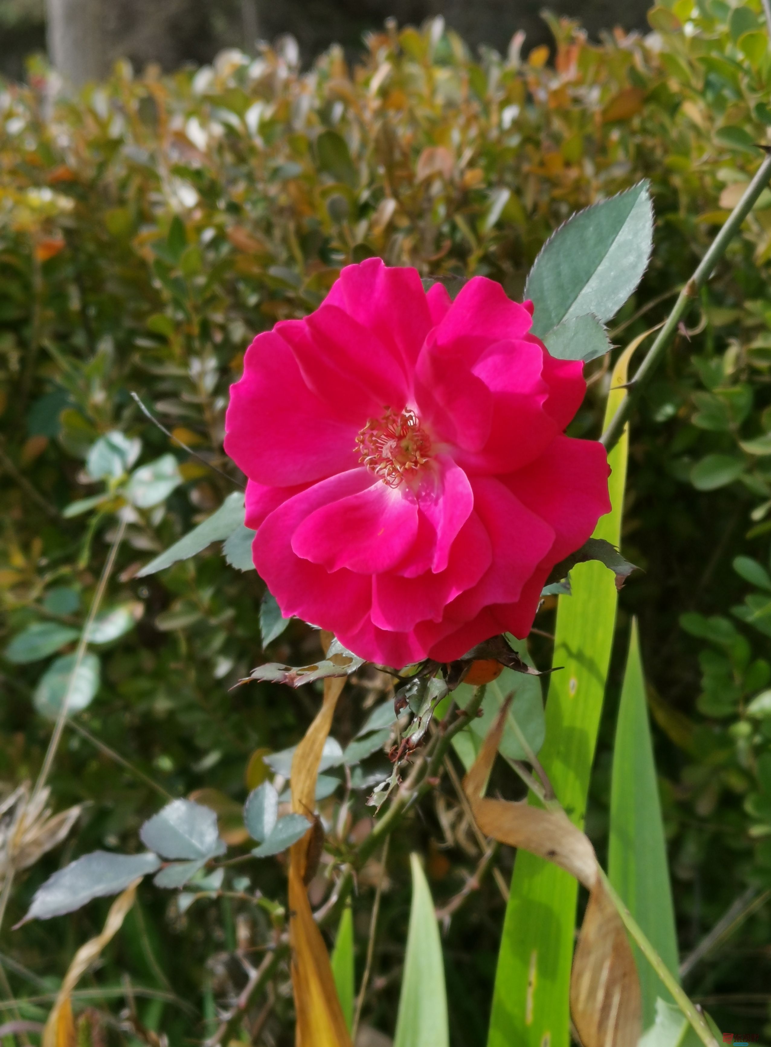 李维杰_20251112134245_1_482 (9).jpg