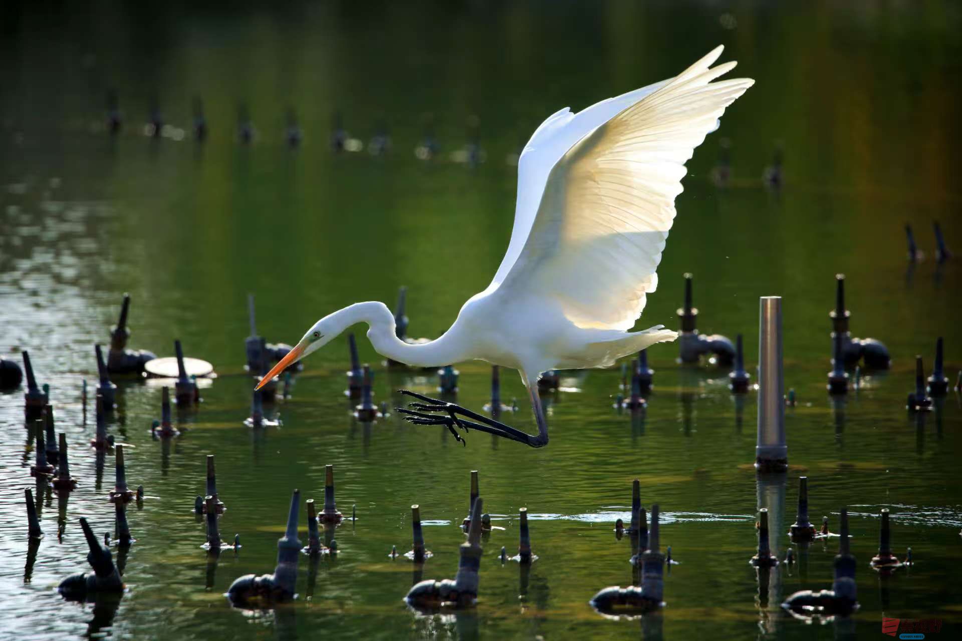 寇群利_20251114082116_3296_463 (2).jpg