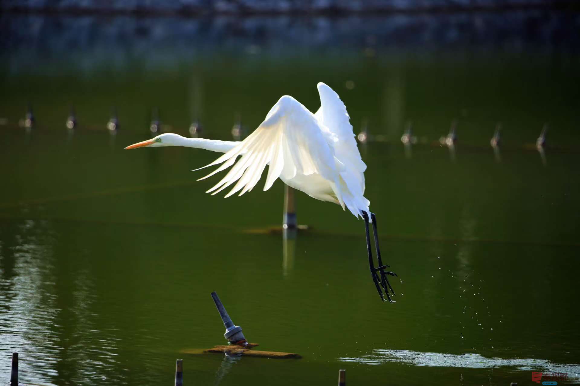 寇群利_20251114082116_3296_463 (5).jpg