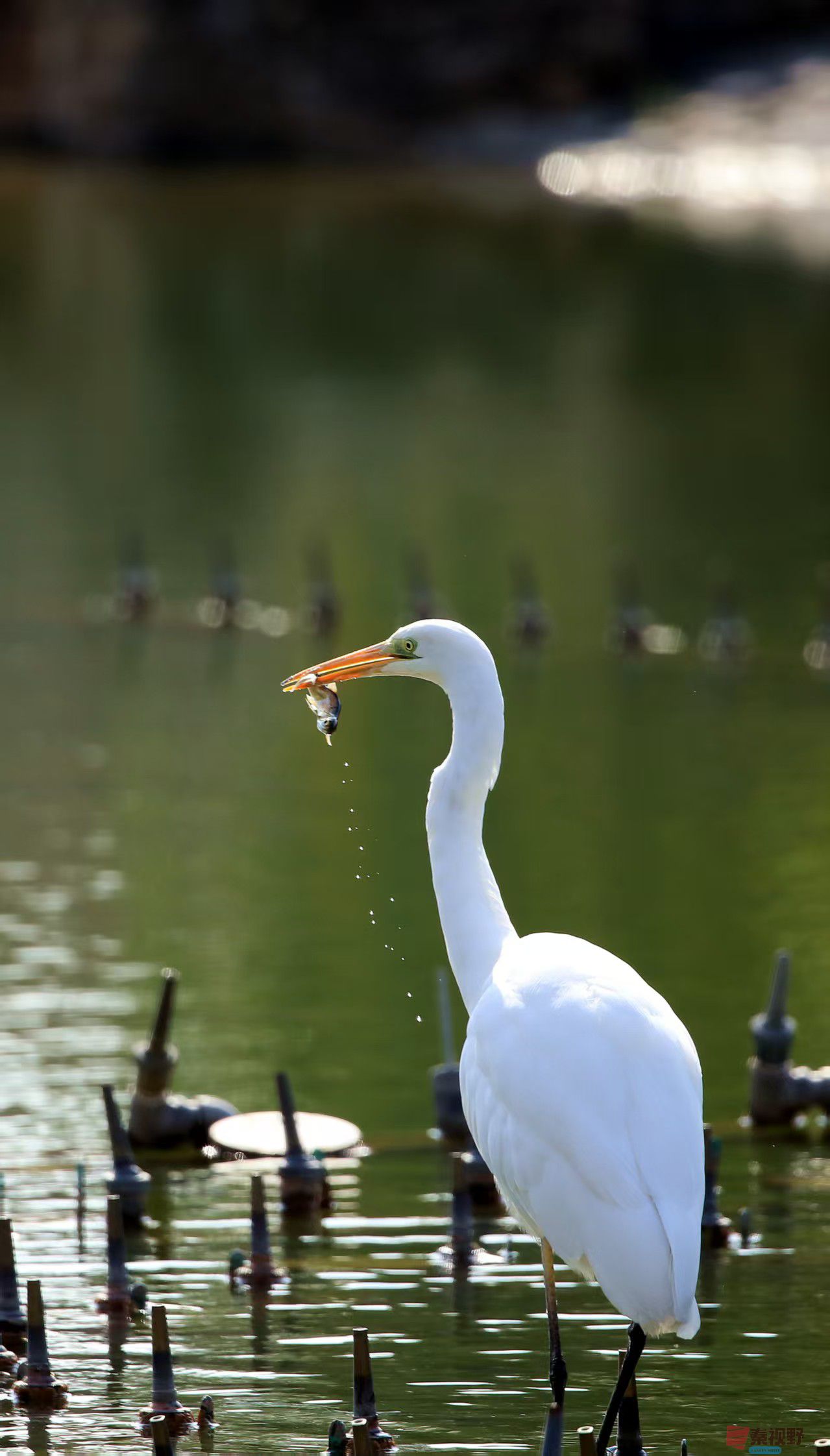 寇群利_20251114082116_3296_463 (4).jpg