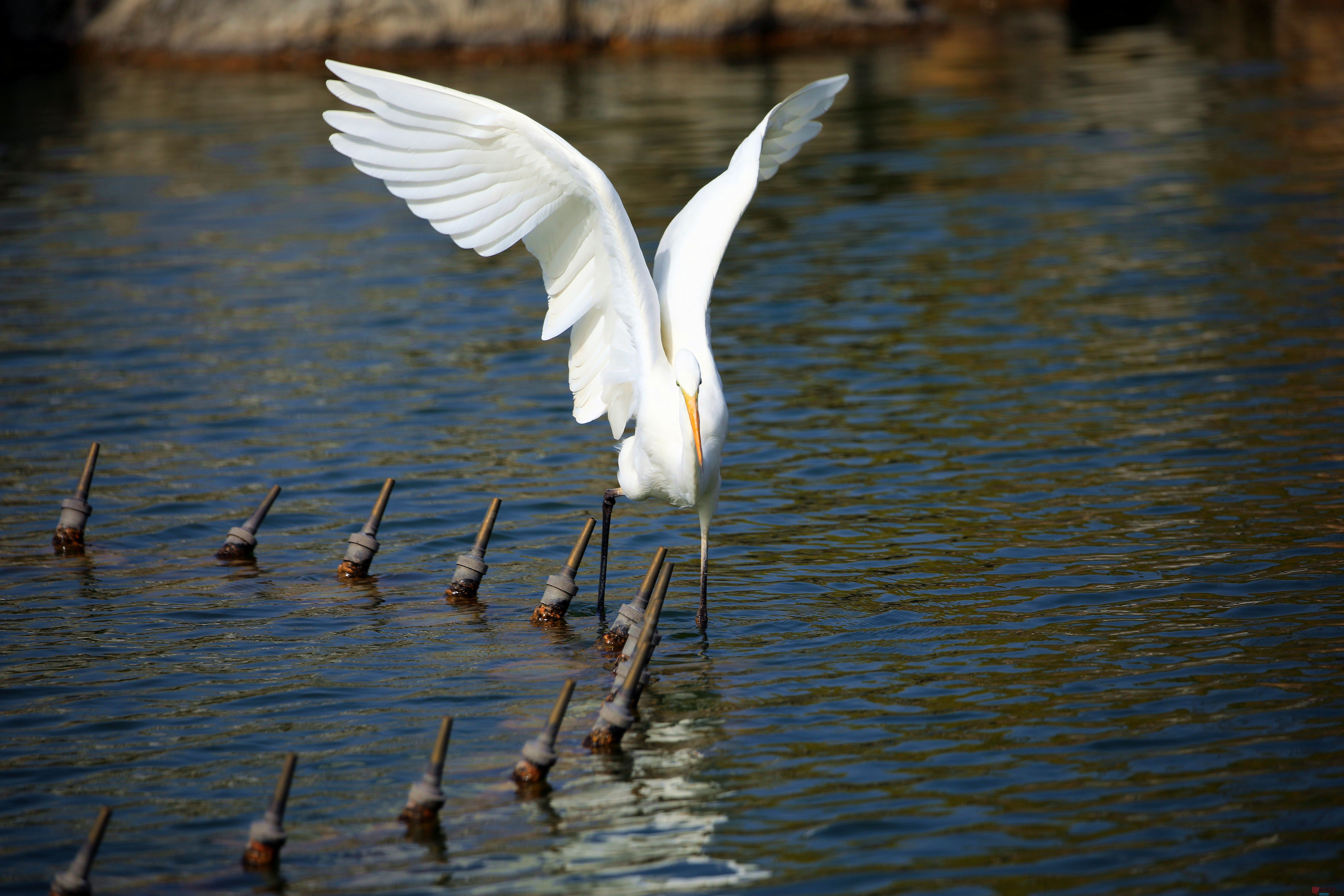 寇群利_20251114082116_3296_463 (6).jpg