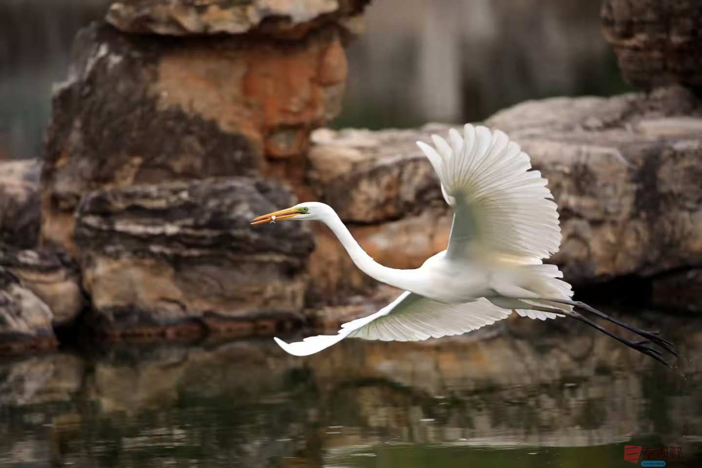 寇群利_20251114082116_3296_463 (7).jpg