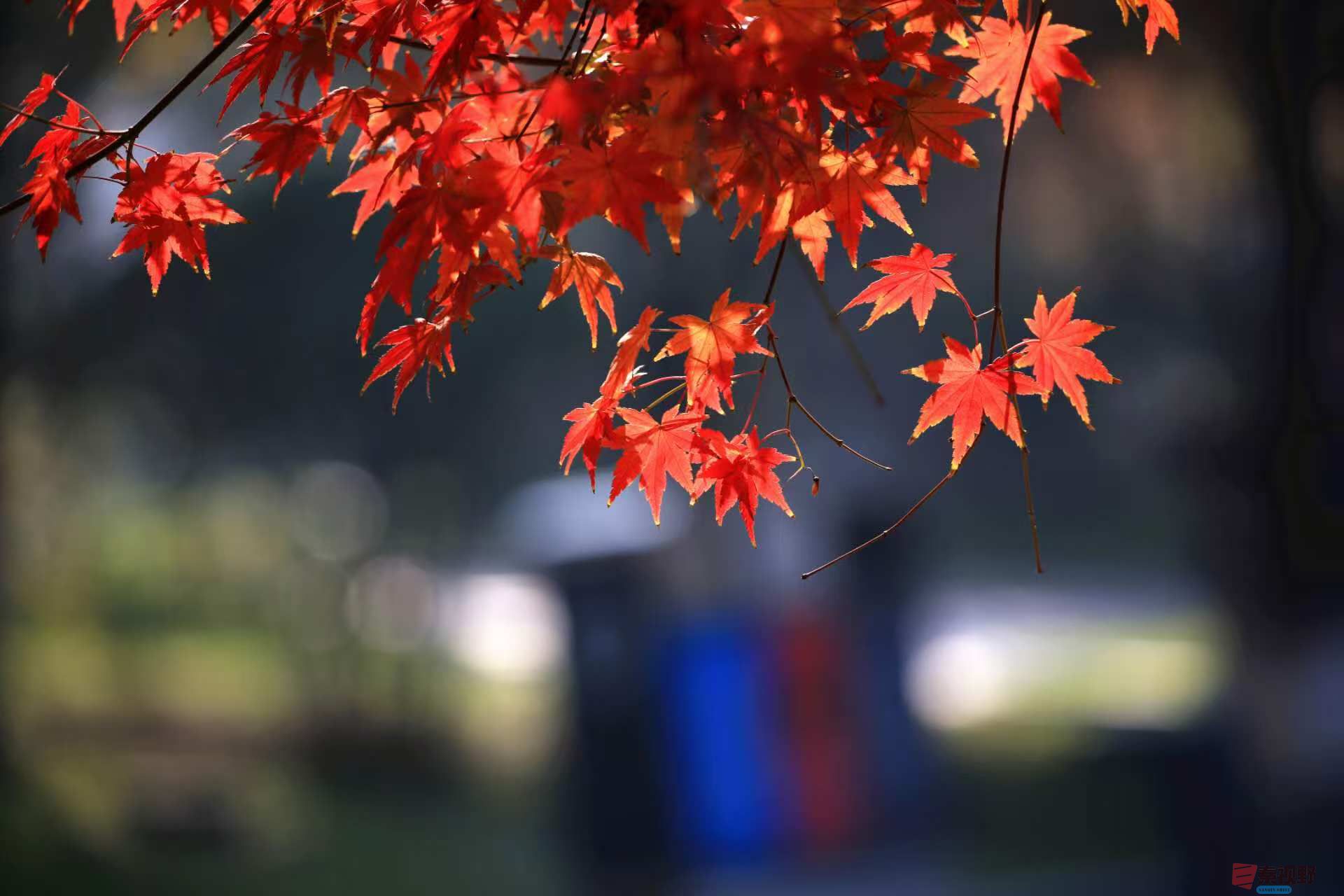 寇群利_20251114082116_3296_463 (9).jpg