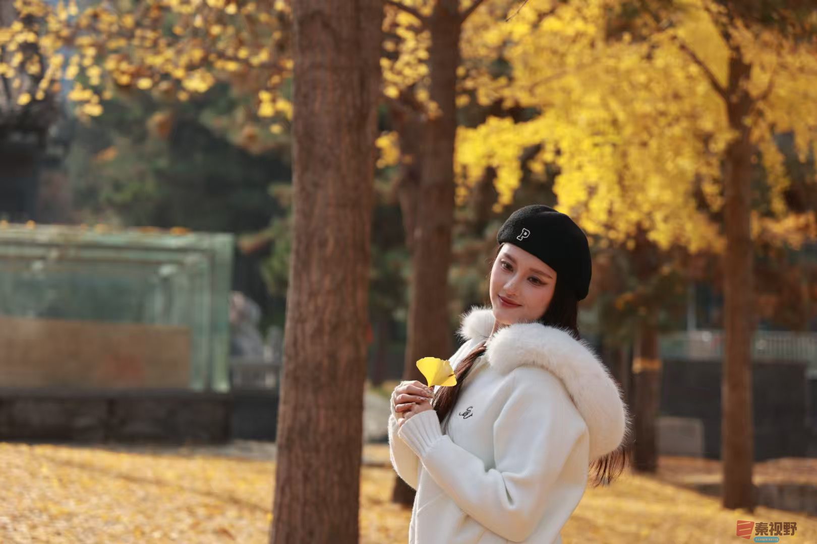 宋宝文_20251113205446_3255_463 (5).jpg