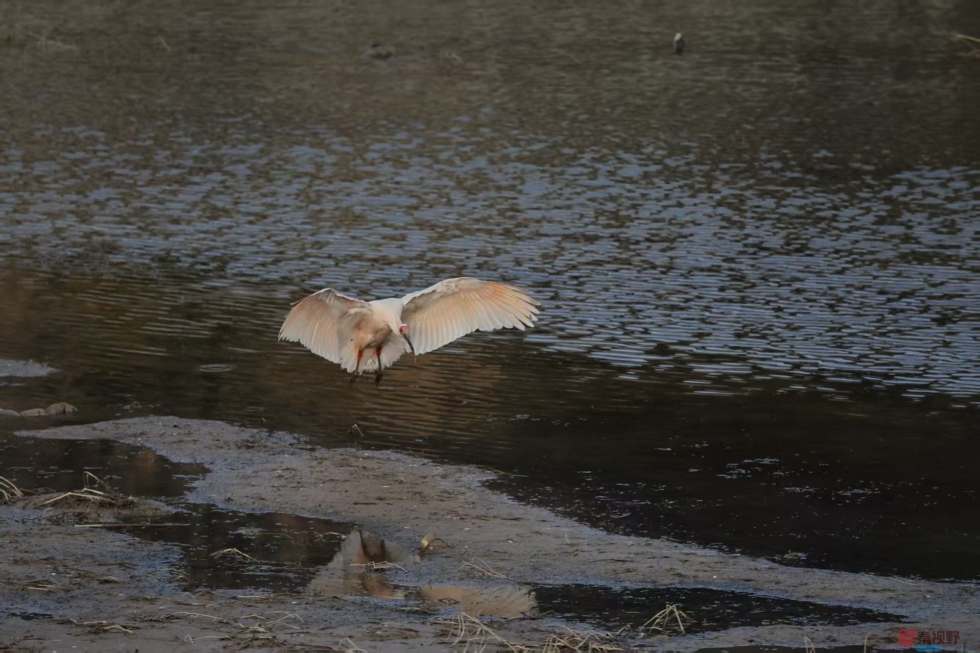 陈耀杰_20251117145156_3360_463 (1).jpg