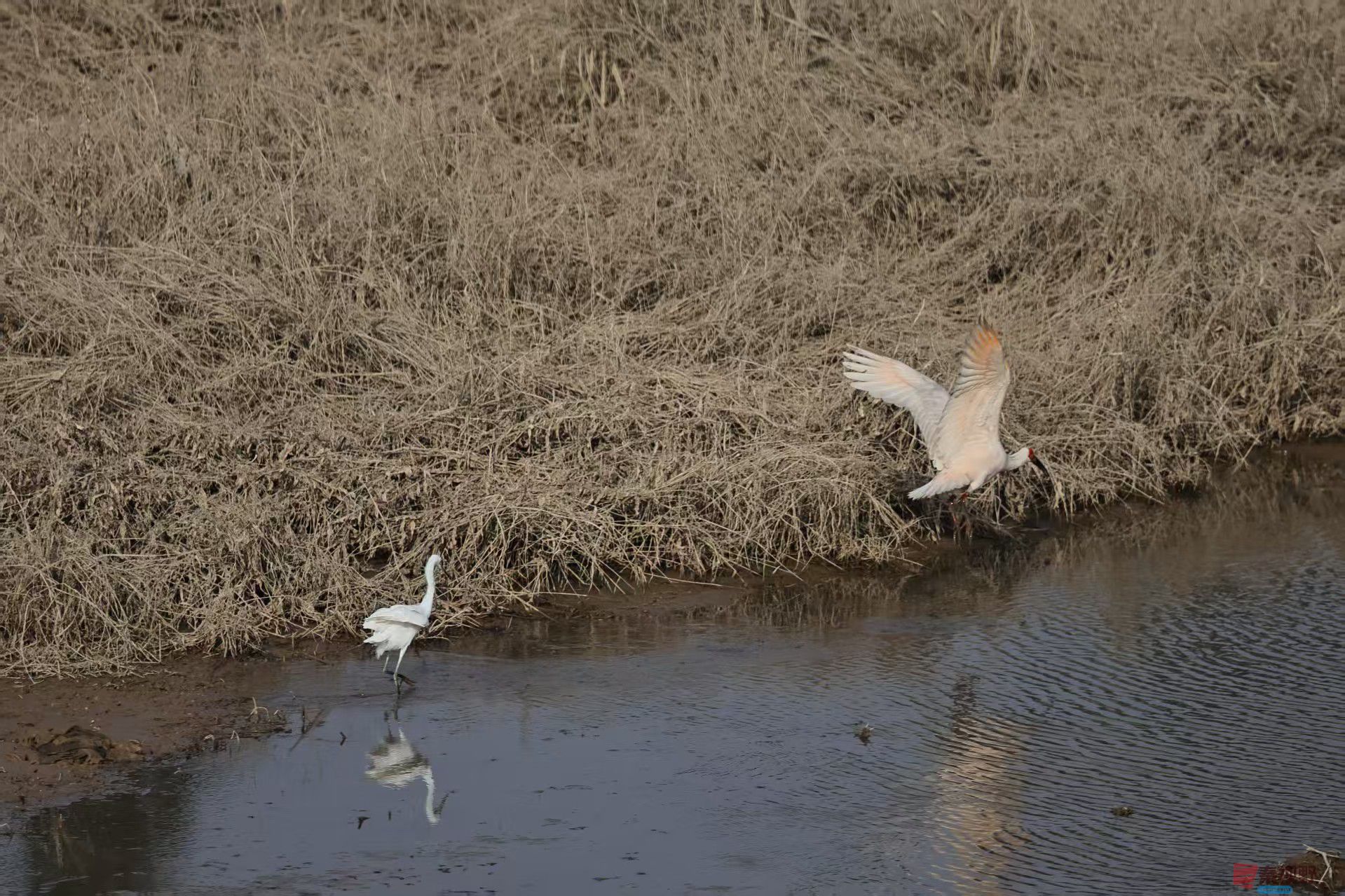 陈耀杰_20251117145156_3360_463 (6).jpg