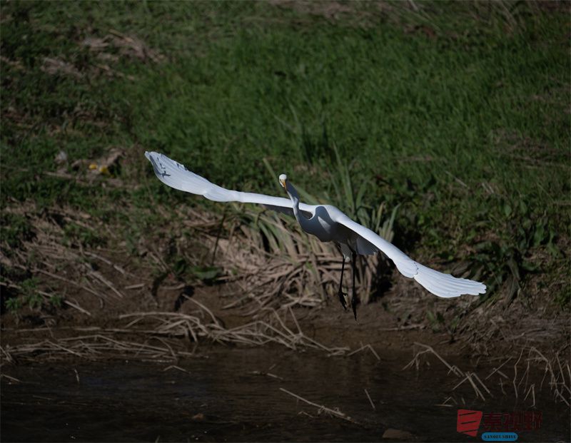 元胜利压缩20251118 (3).jpg