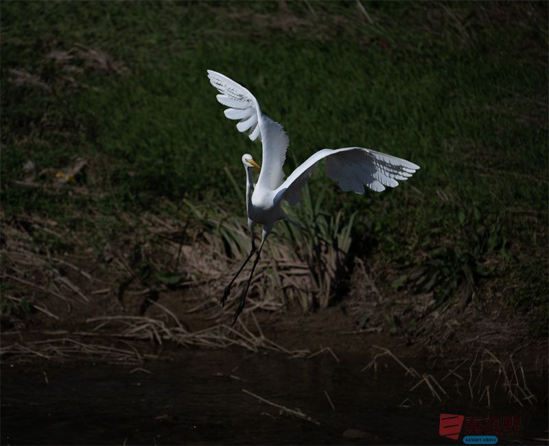 元胜利压缩20251118 (6).jpg