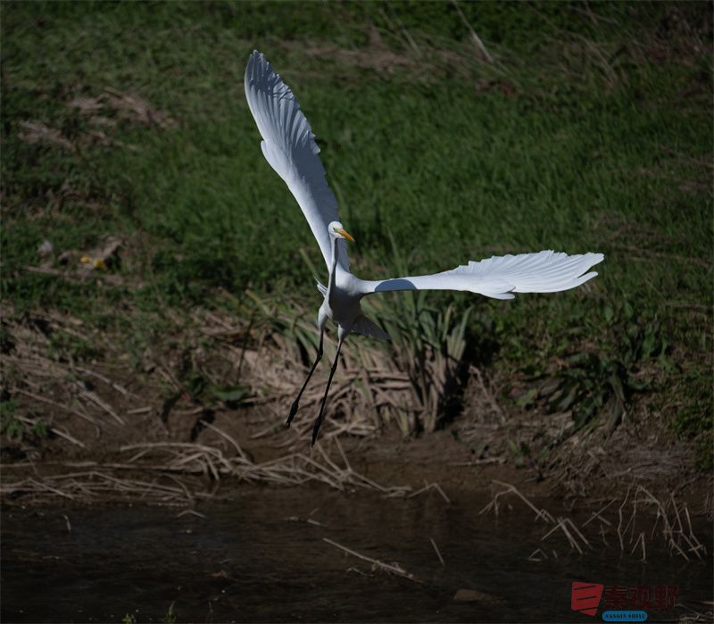 元胜利压缩20251118 (7).jpg