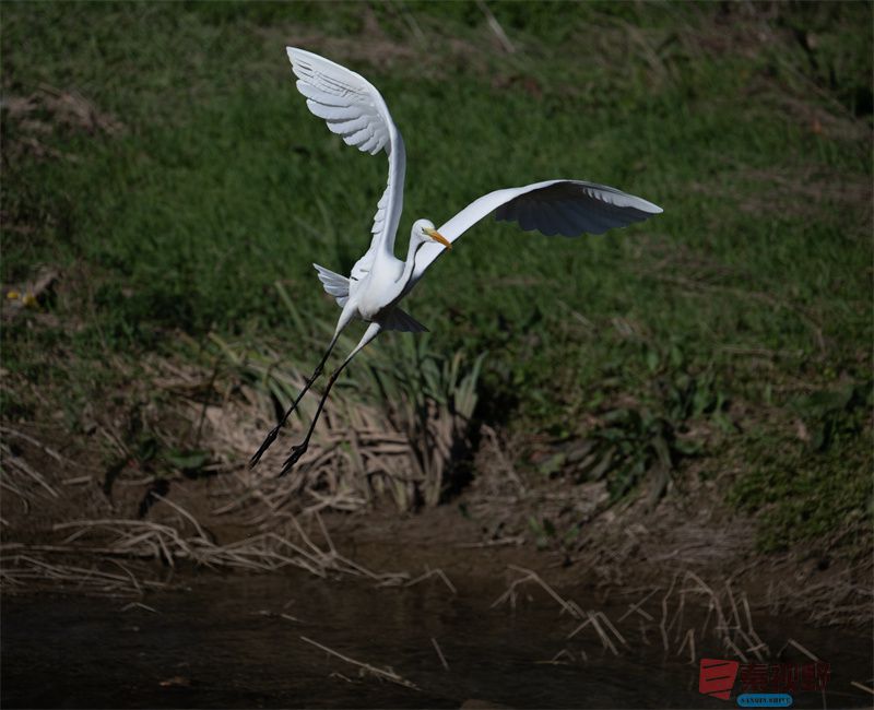 元胜利压缩20251118 (8).jpg