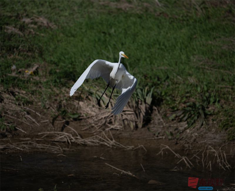 元胜利压缩20251118 (13).jpg