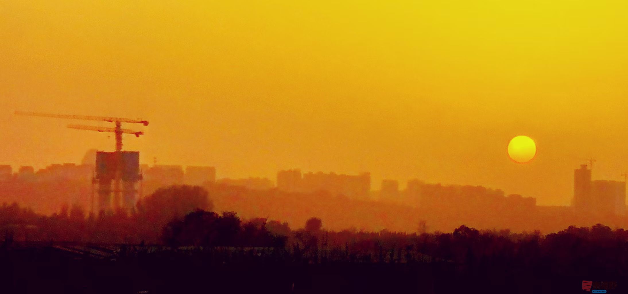 李雪平_20251117105422_659_149 (2).jpg