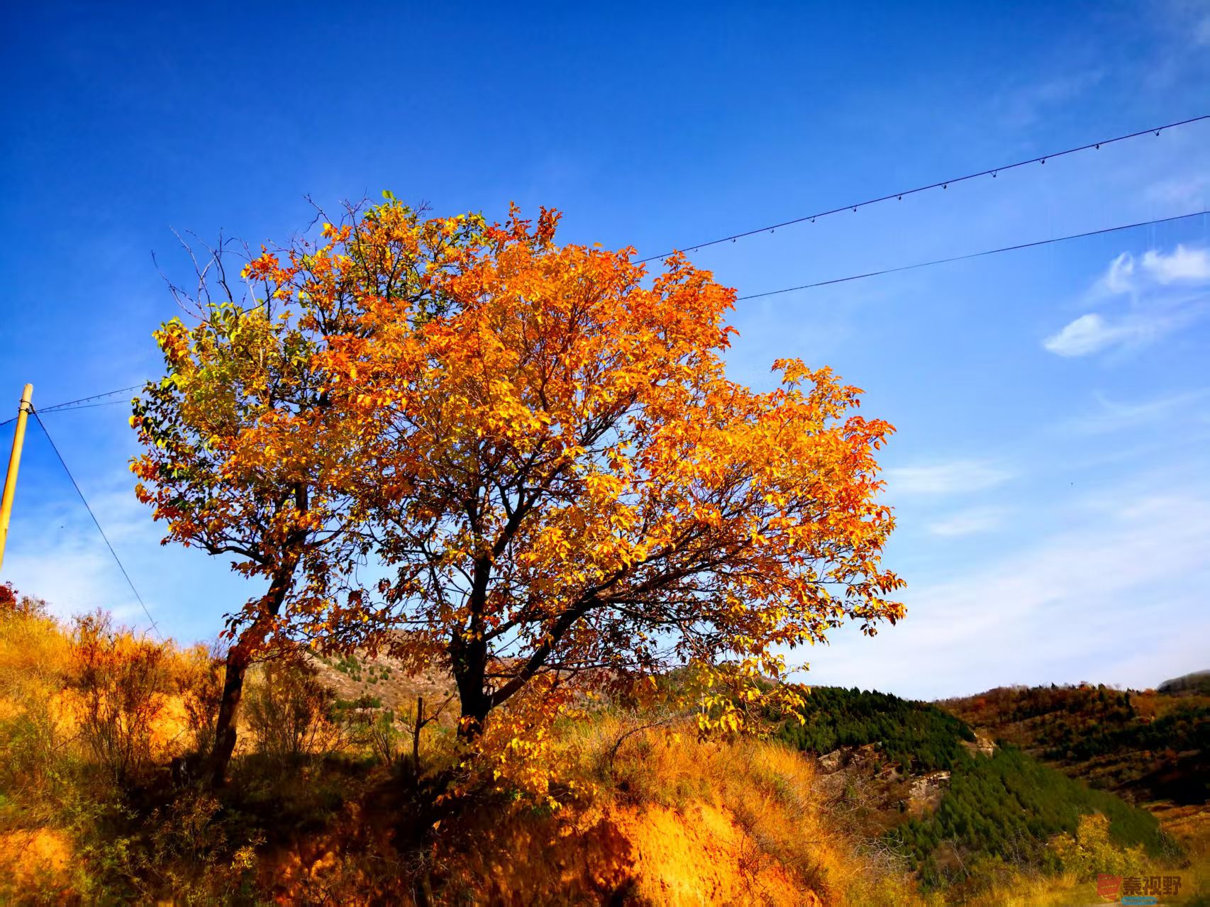 李雪平_20251117105422_659_149 (3).jpg