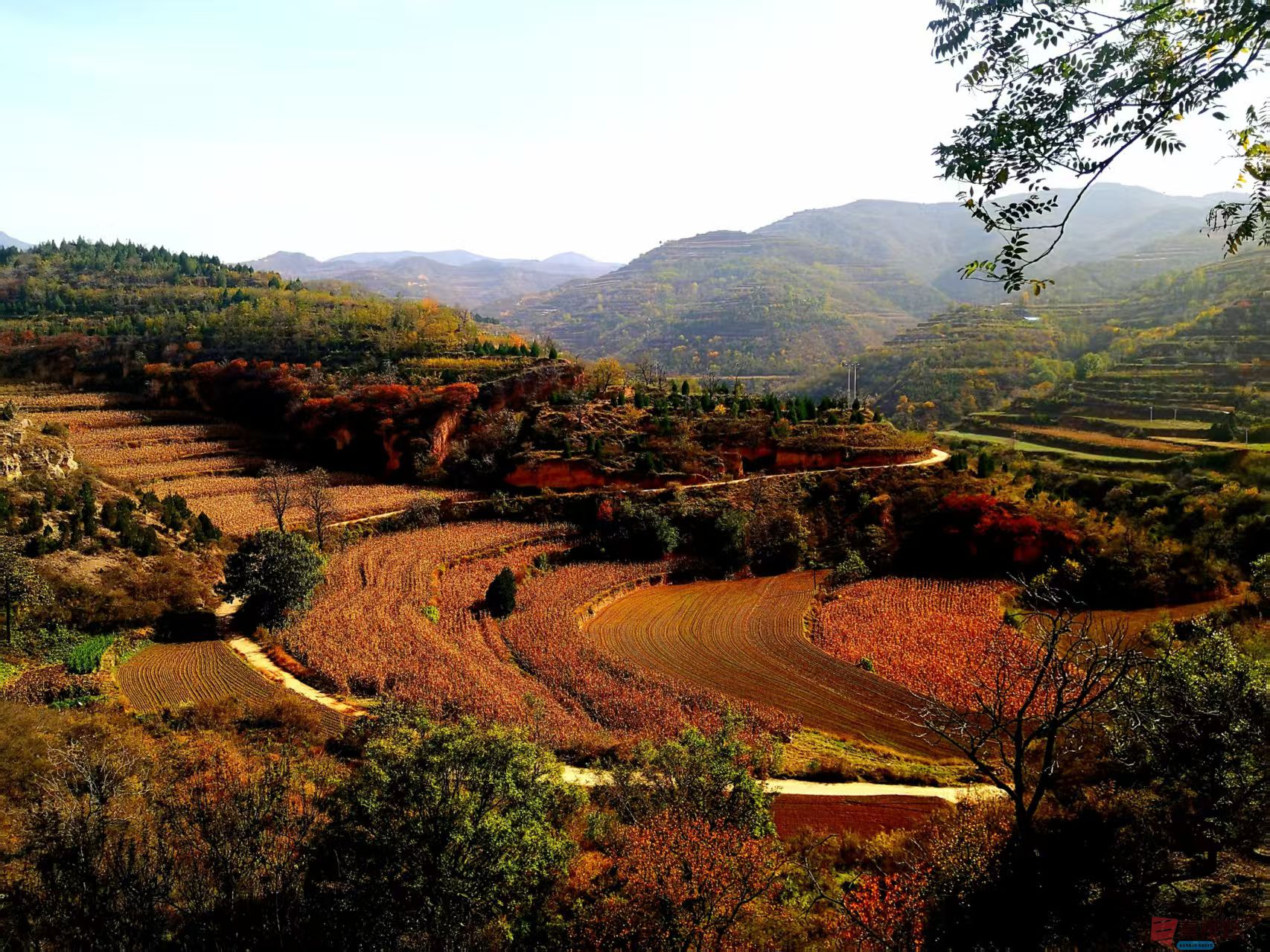 李雪平_20251117105422_659_149 (8).jpg