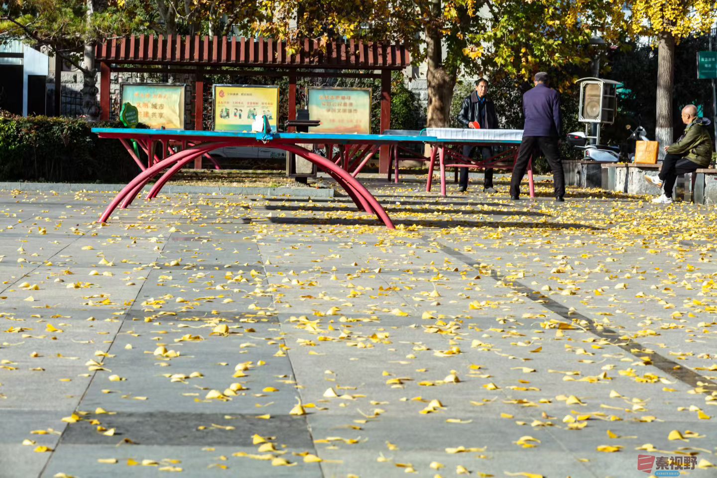 陈耀杰20251119 (4).jpg