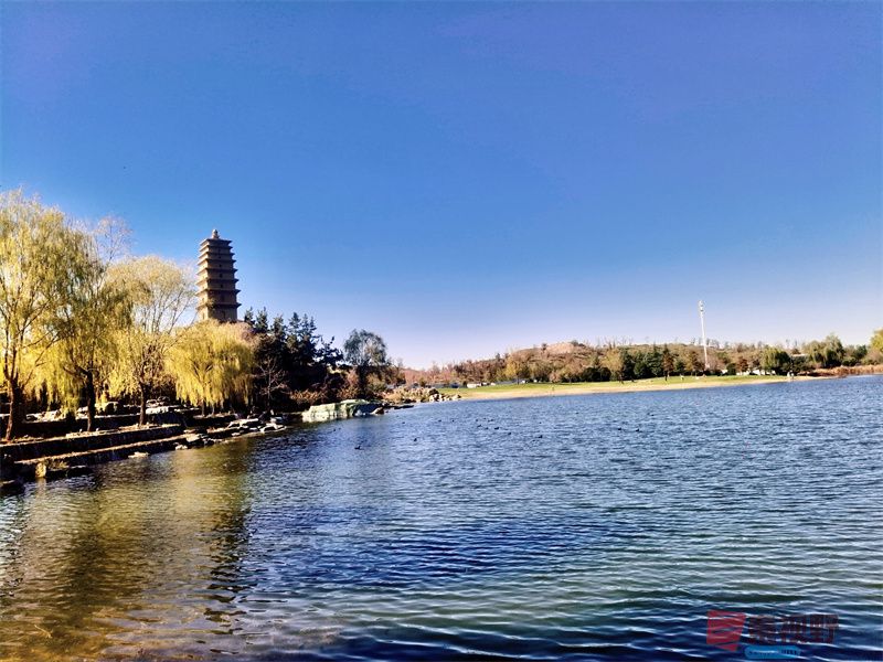 <strong>陕西鄠邑区渼陂湖胜景【摄影任周民 】</strong>