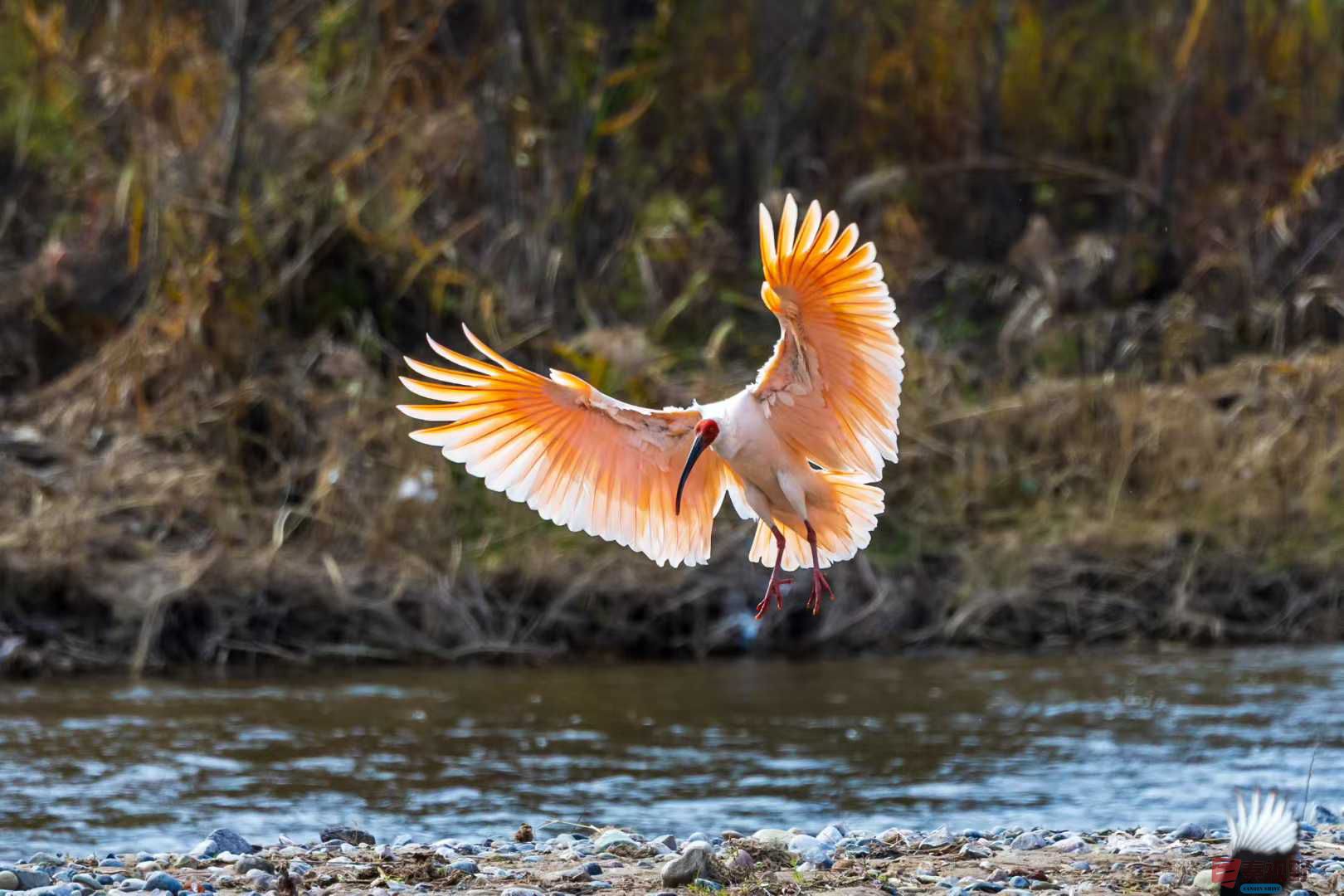 袁小保_2025-11-20_140033_861 (1).jpg