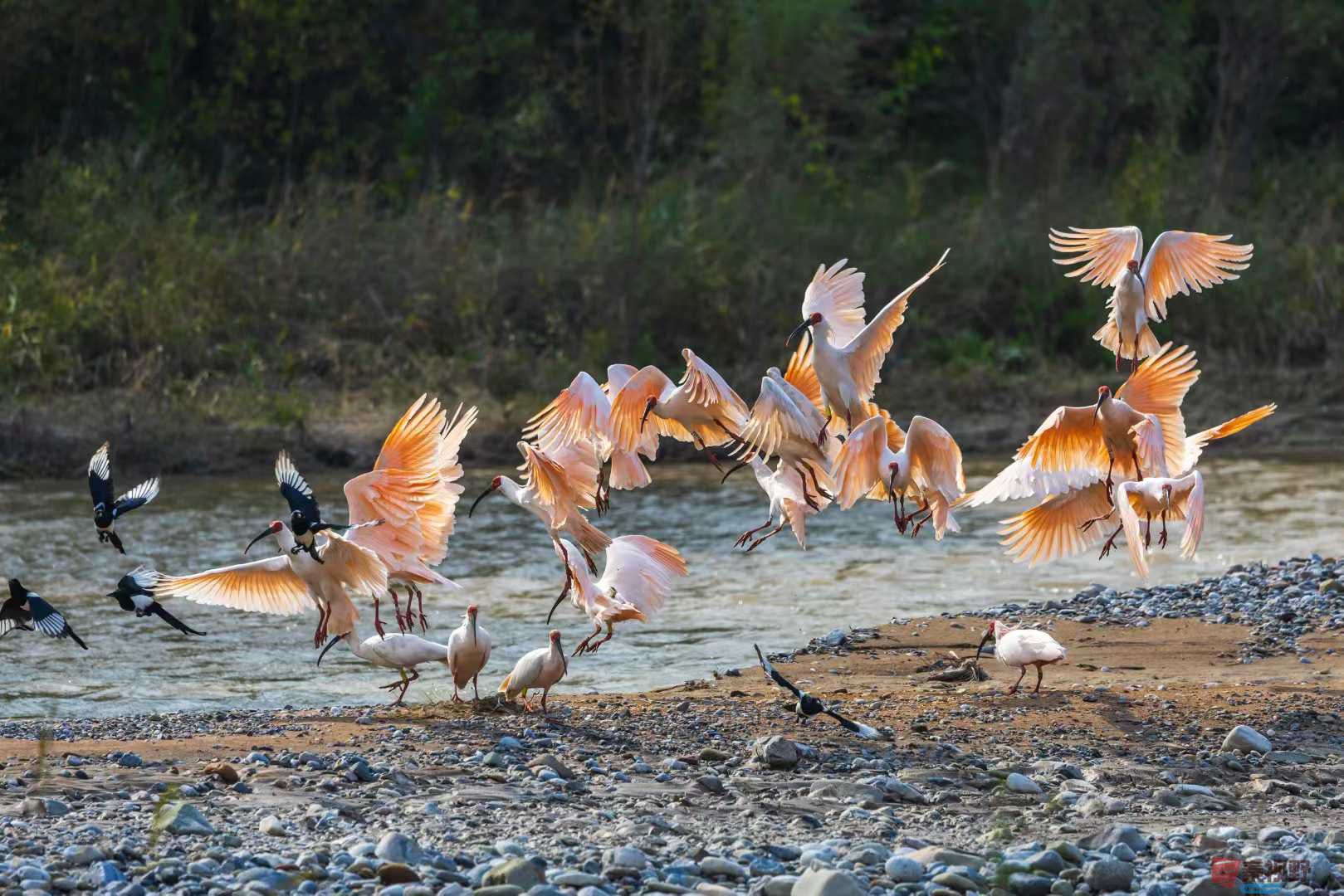 袁小保_2025-11-20_140033_861 (7).jpg