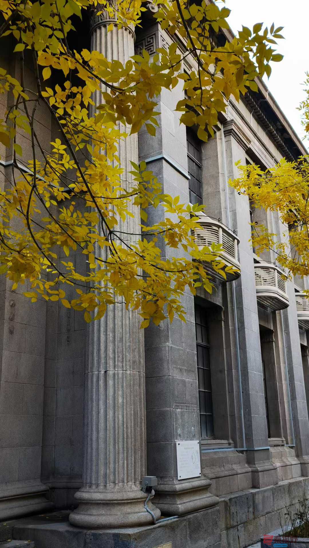 街景随拍【摄影马世国】