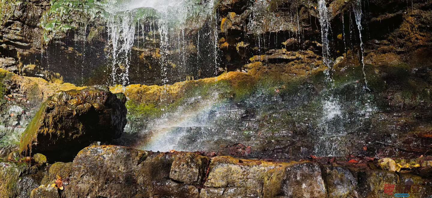 张兴20251120 (1).jpg