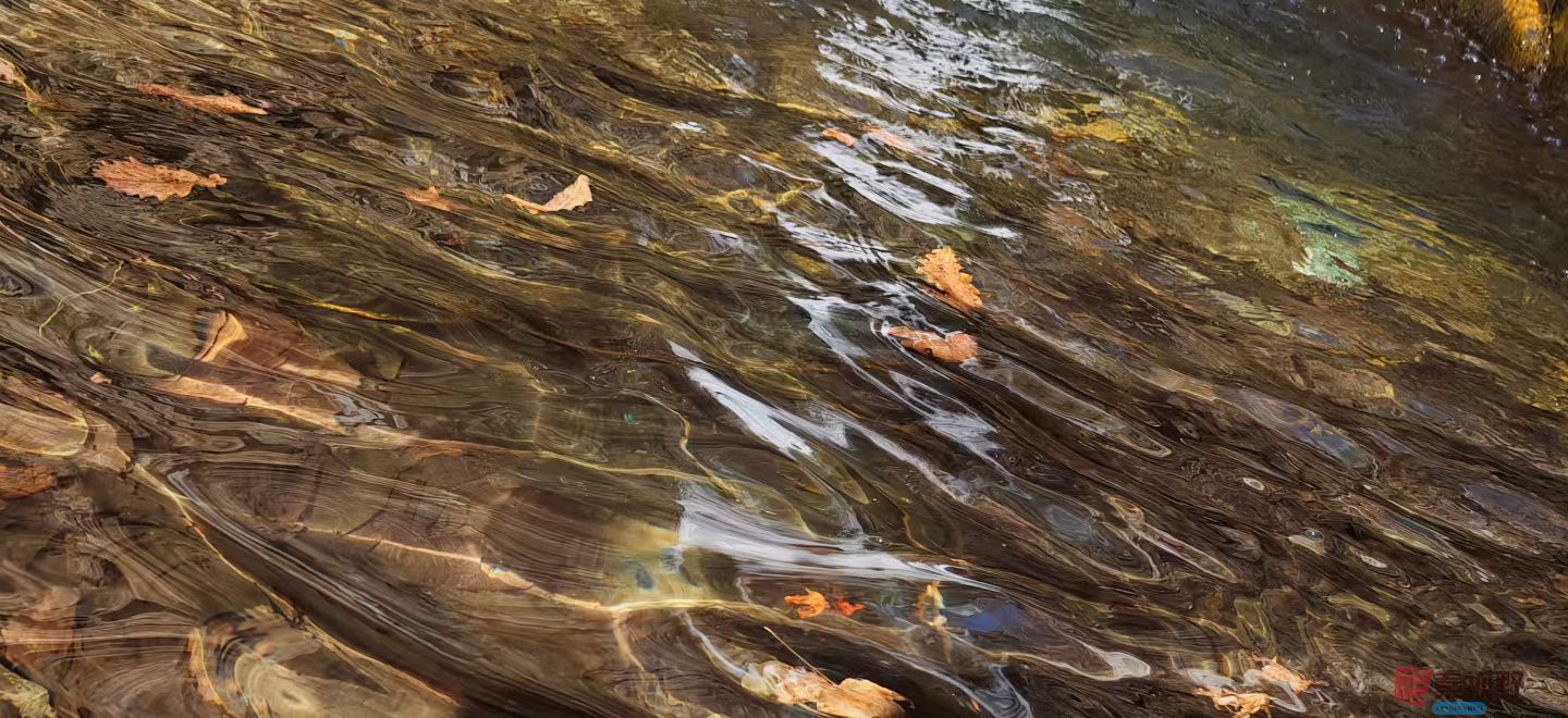 张兴20251120 (3).jpg