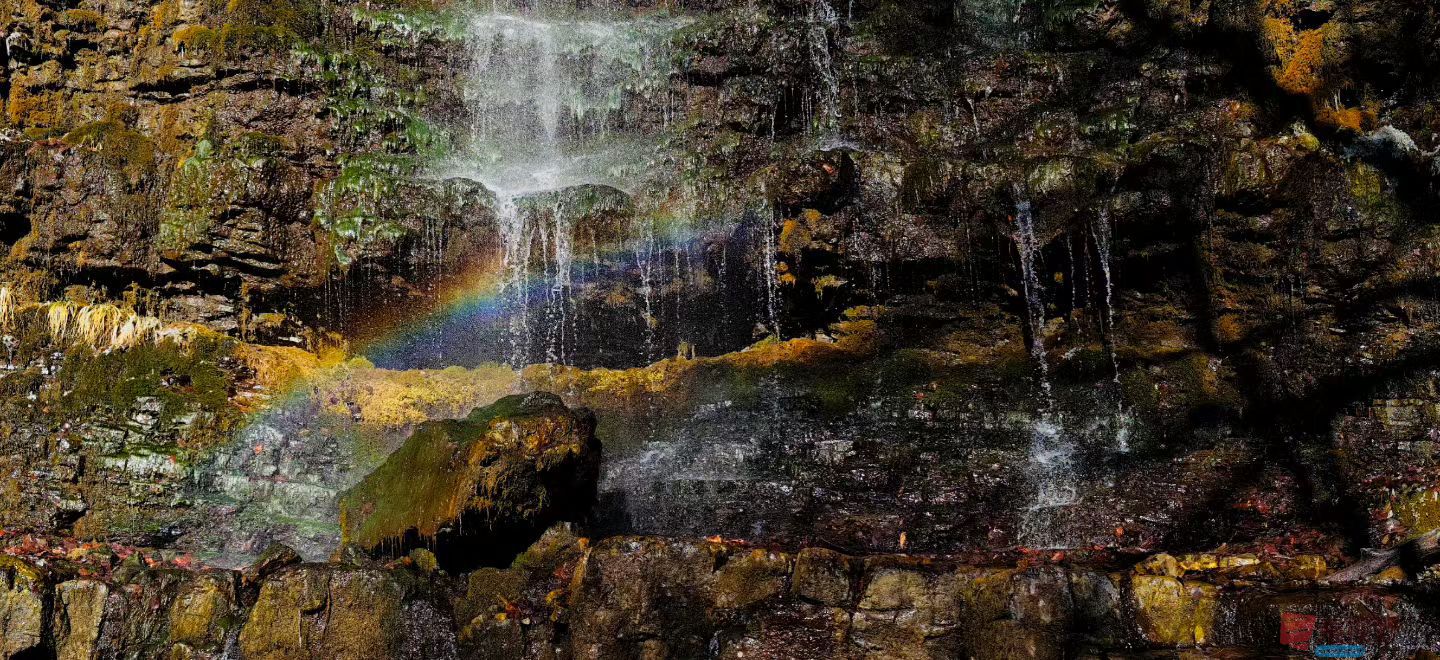 张兴20251120 (7).jpg