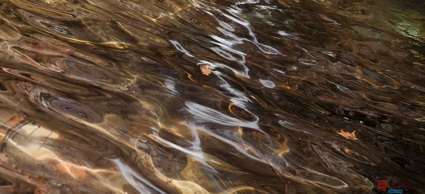 张兴20251120 (8).jpg