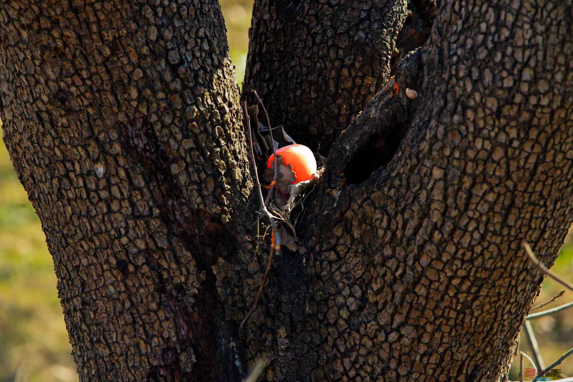 陈耀杰_20251120132032_3543_463 (4)(1).jpg