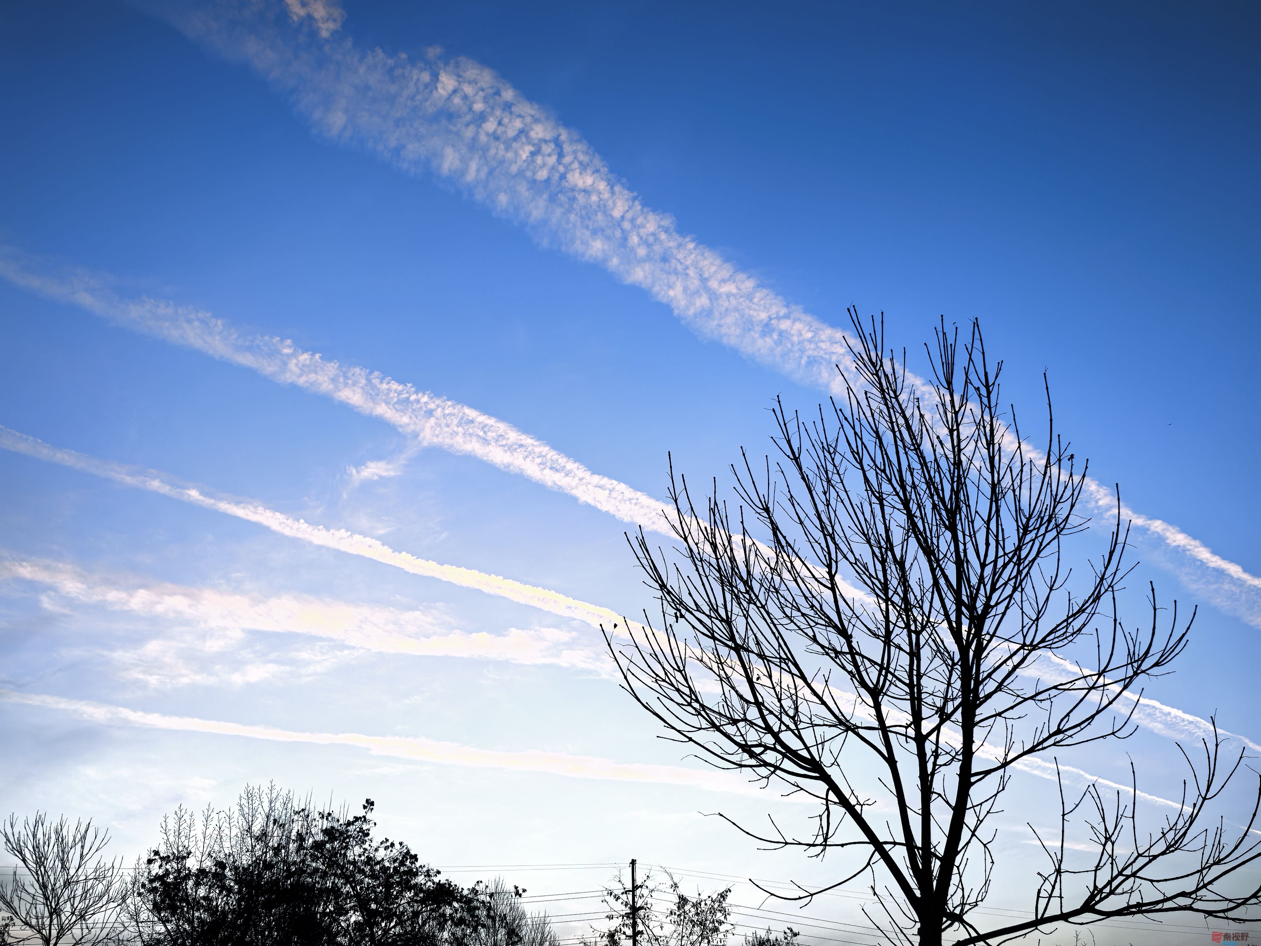 刘孝文_20251119184155_3522_463 (2).jpg