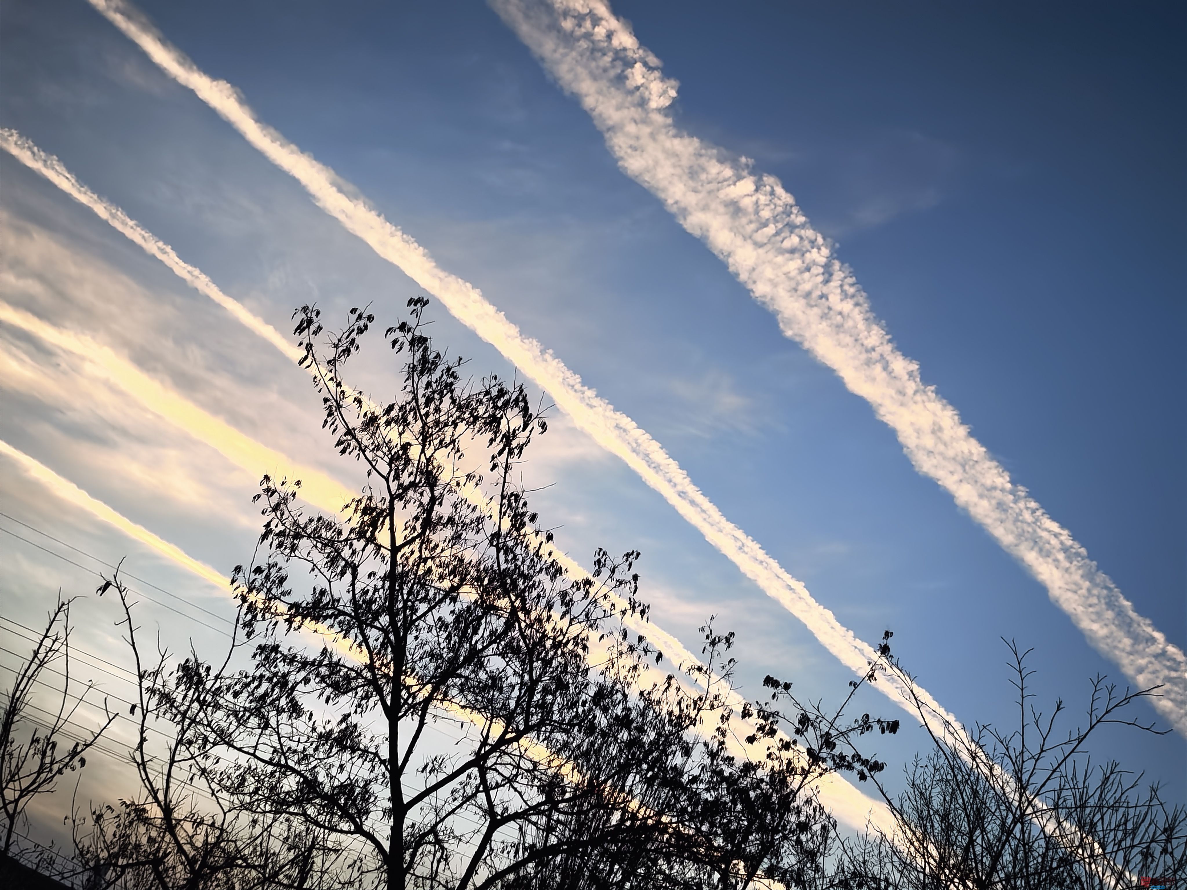 刘孝文_20251119184155_3522_463 (4).jpg