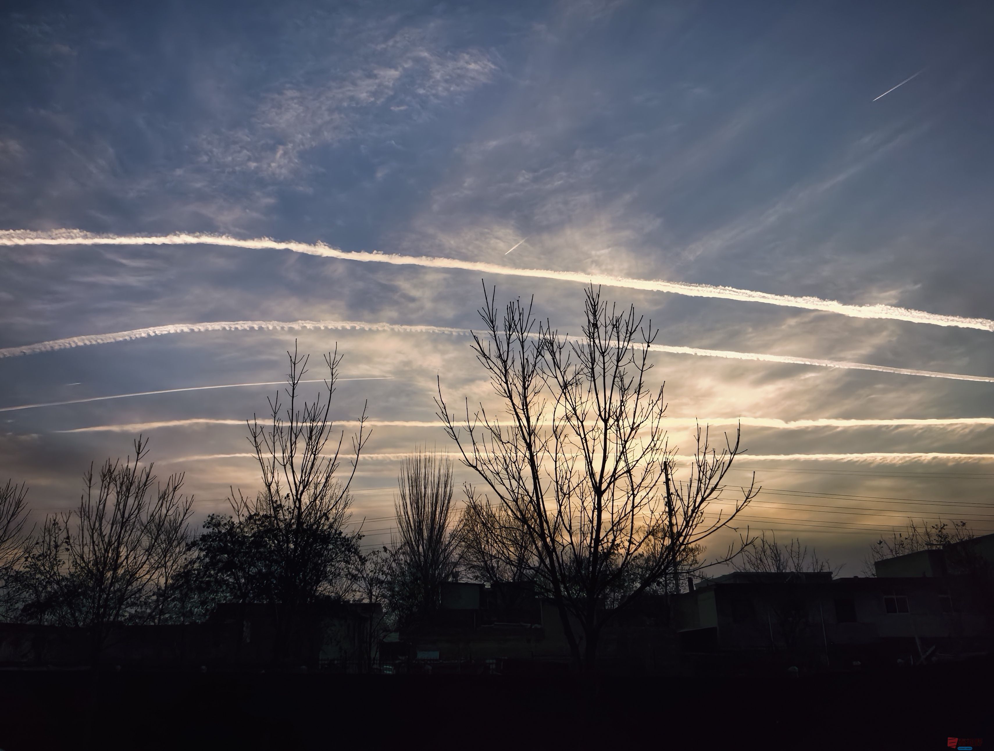 刘孝文_20251119184155_3522_463 (5).jpg