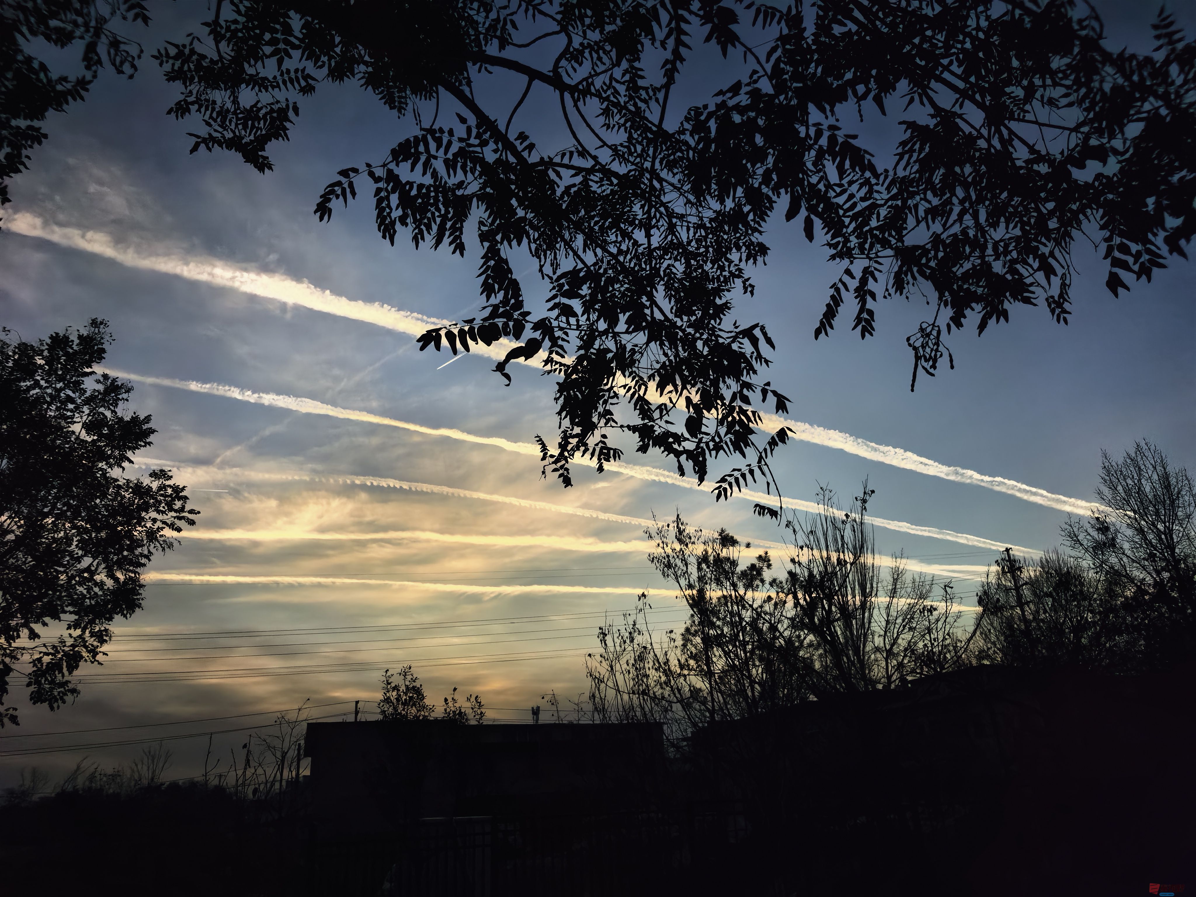 刘孝文_20251119184155_3522_463 (7).jpg