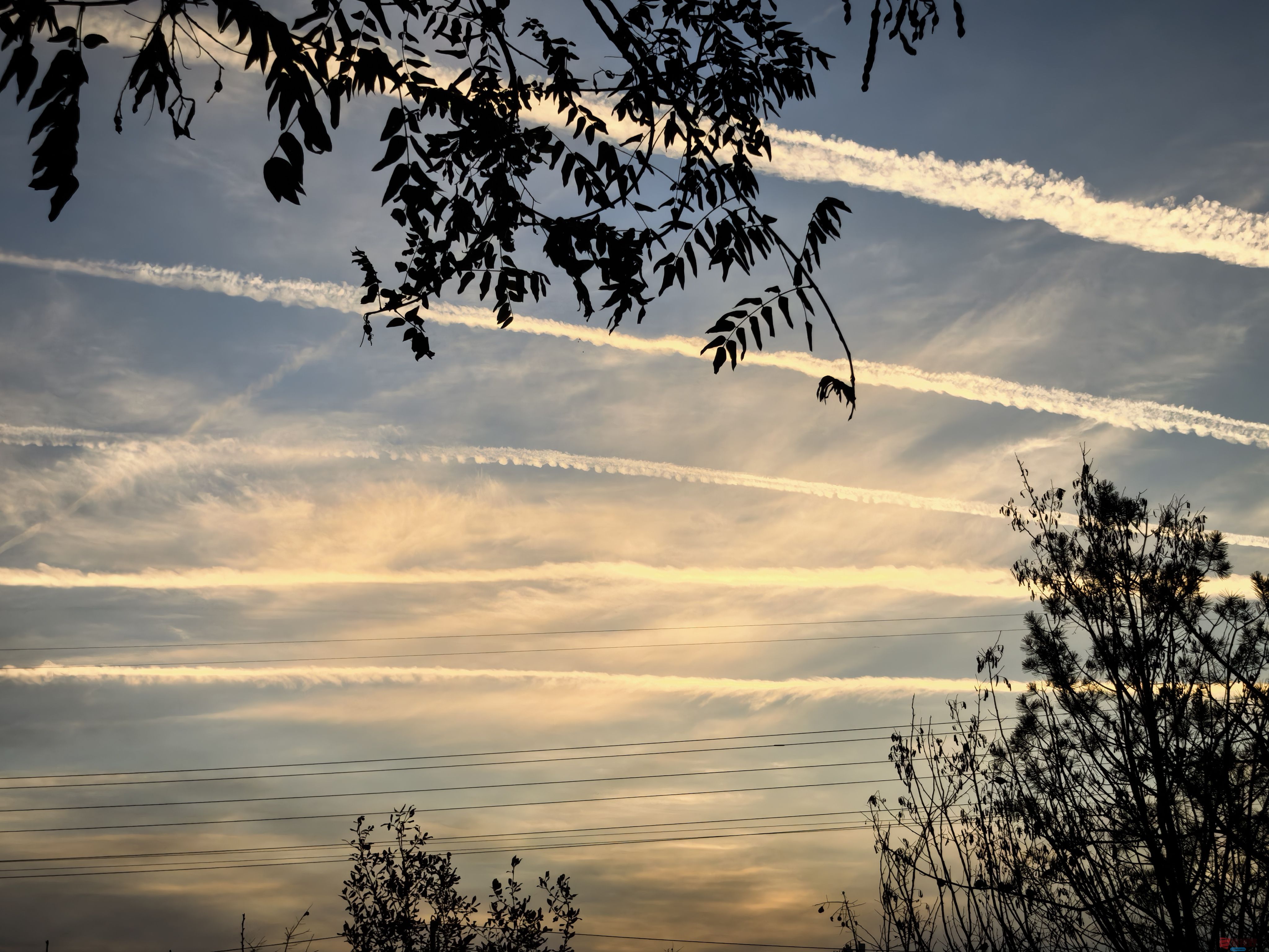 刘孝文_20251119184155_3522_463 (8).jpg