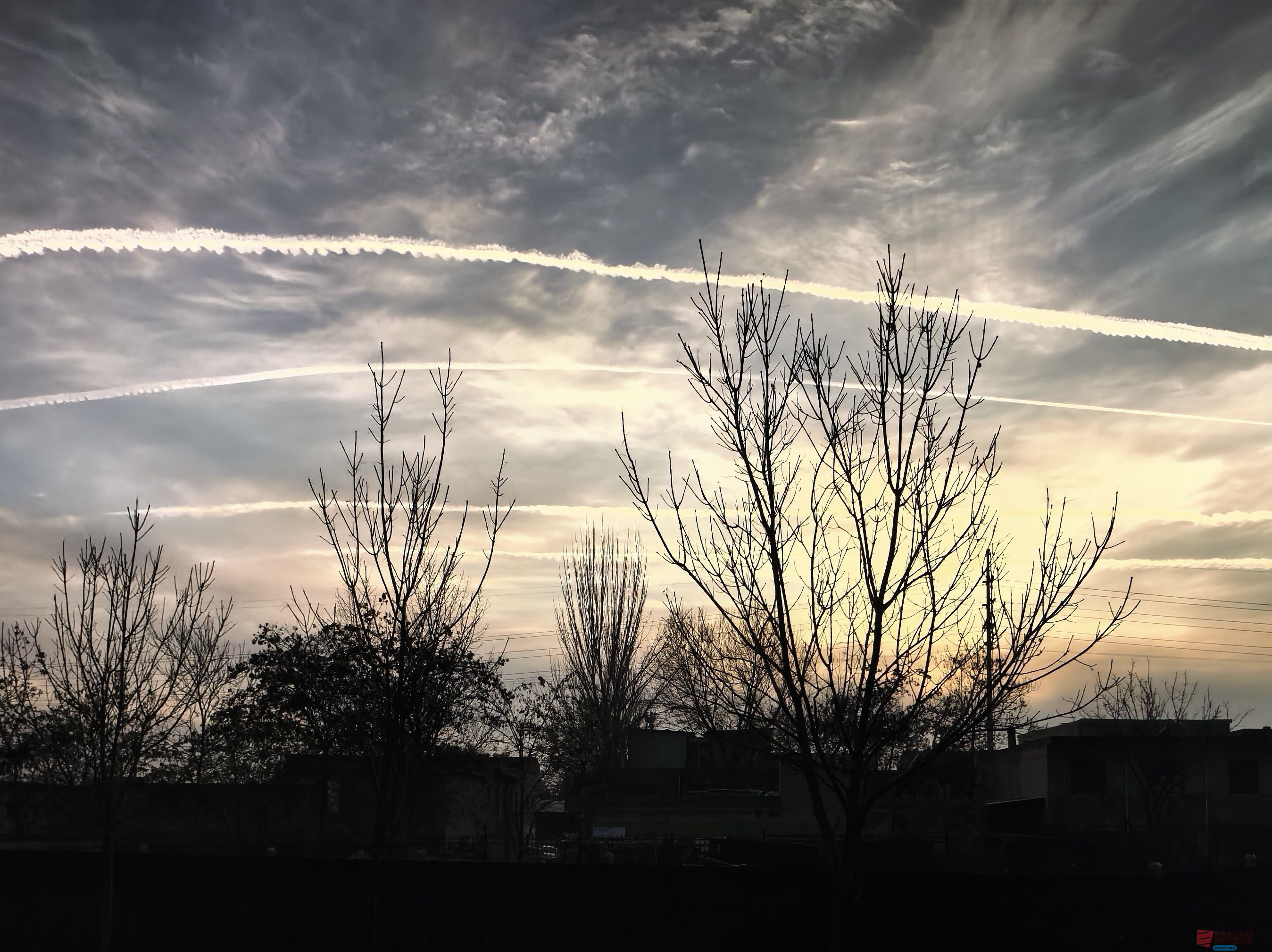 刘孝文_20251119184155_3522_463 (9).jpg