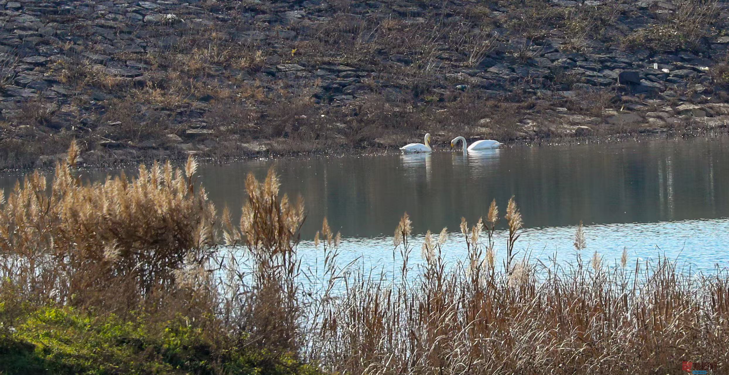 李雪平_20251120191211_550_47 (1).jpg