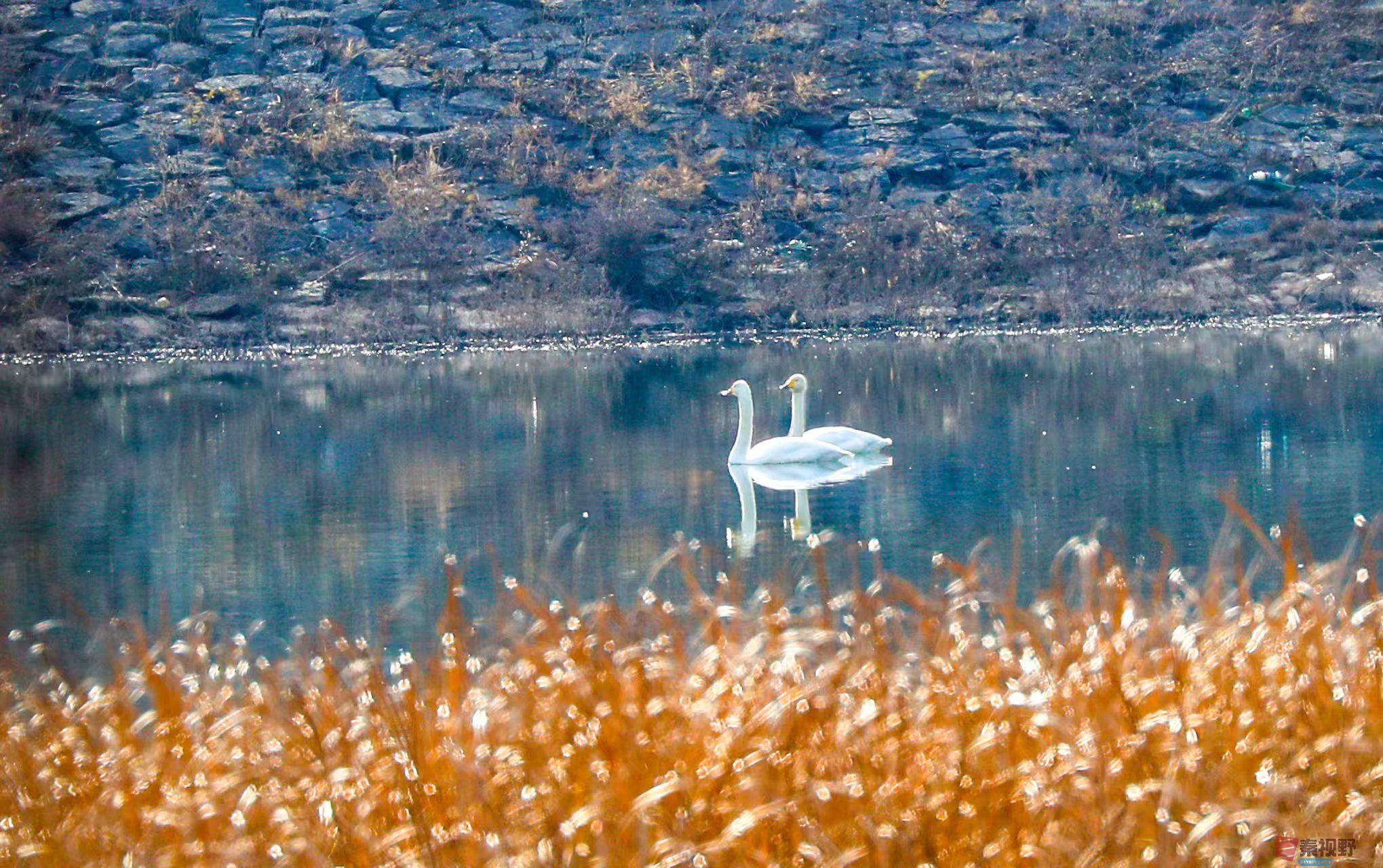 李雪平_20251120191211_550_47 (2).jpg