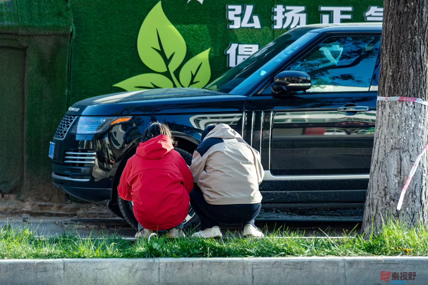 初冬的天气暖洋洋【摄影陈耀杰】