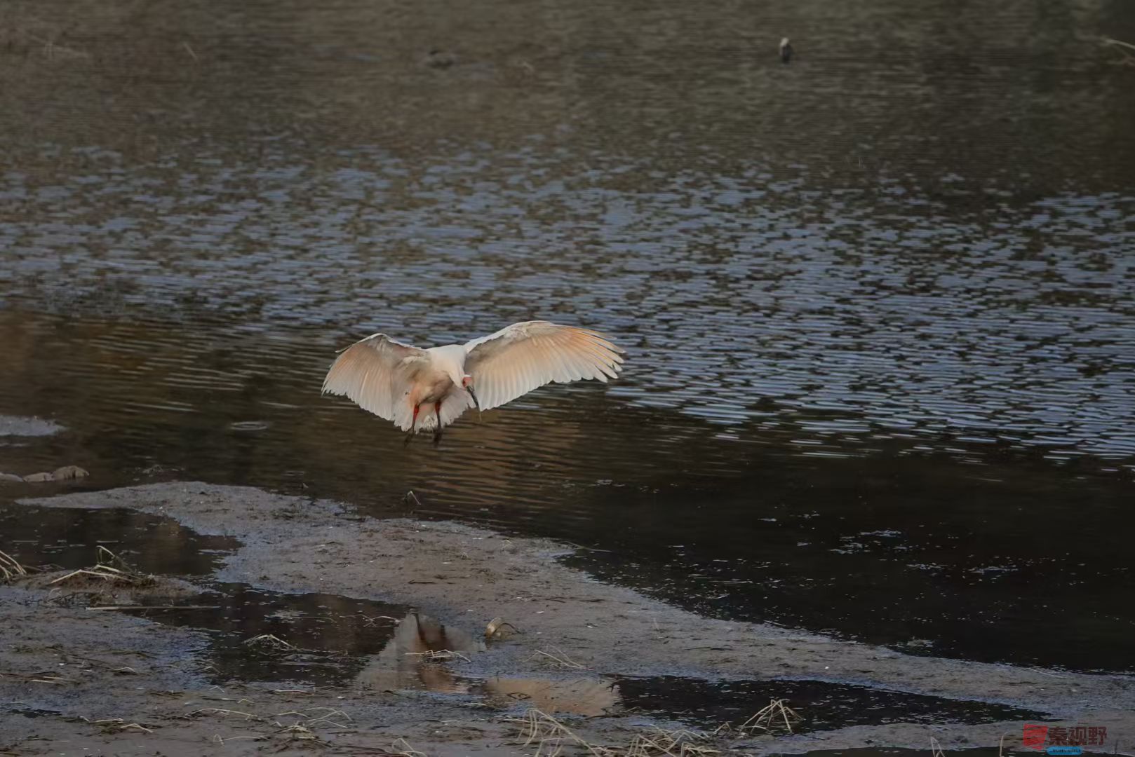 陈耀杰20251119 (1).jpg