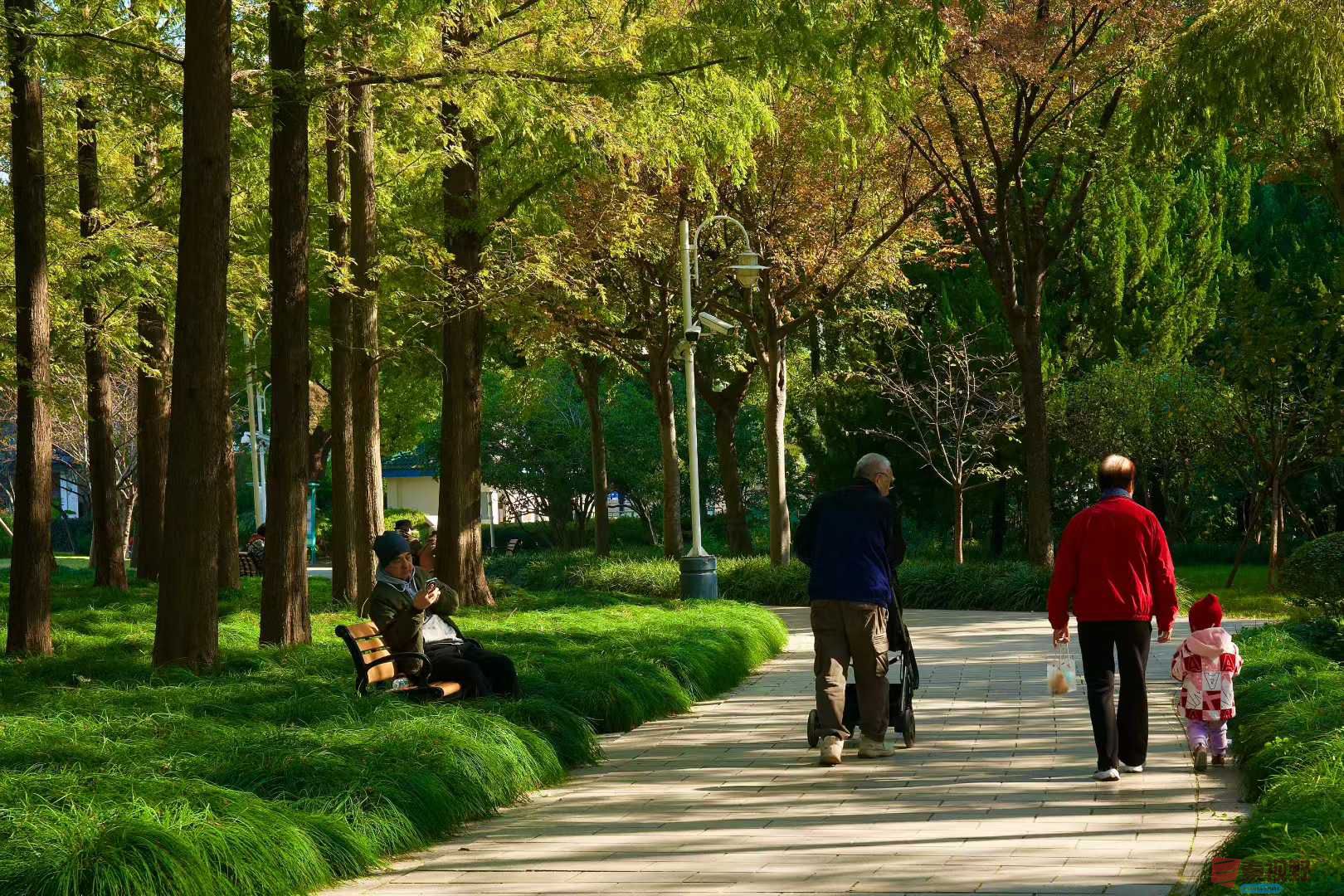 张巧玲_2025-11-21_112302_358 (2).jpg